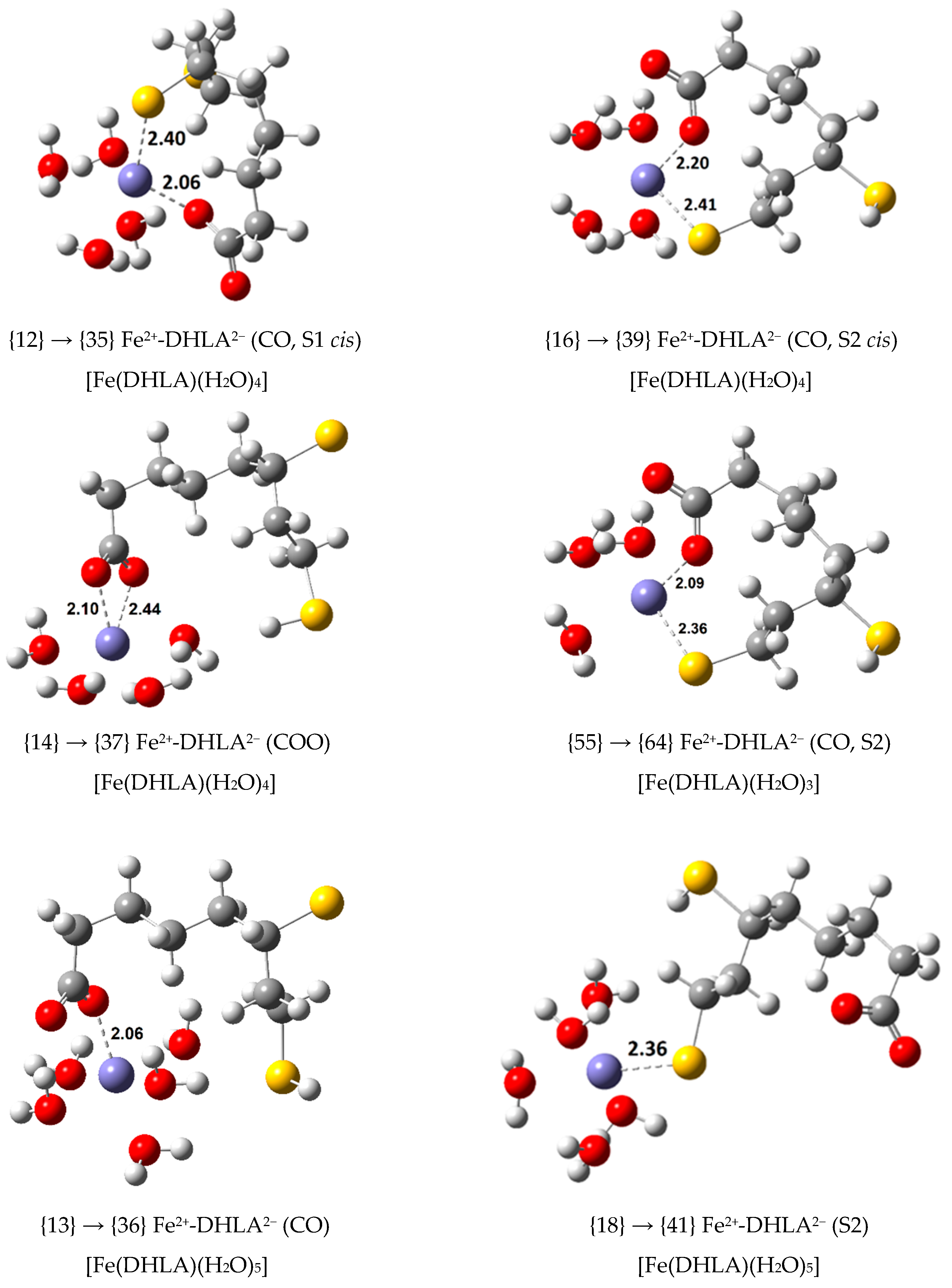 Antioxidants | Free Full-Text | Theoretical Study of the Iron Complexes ...