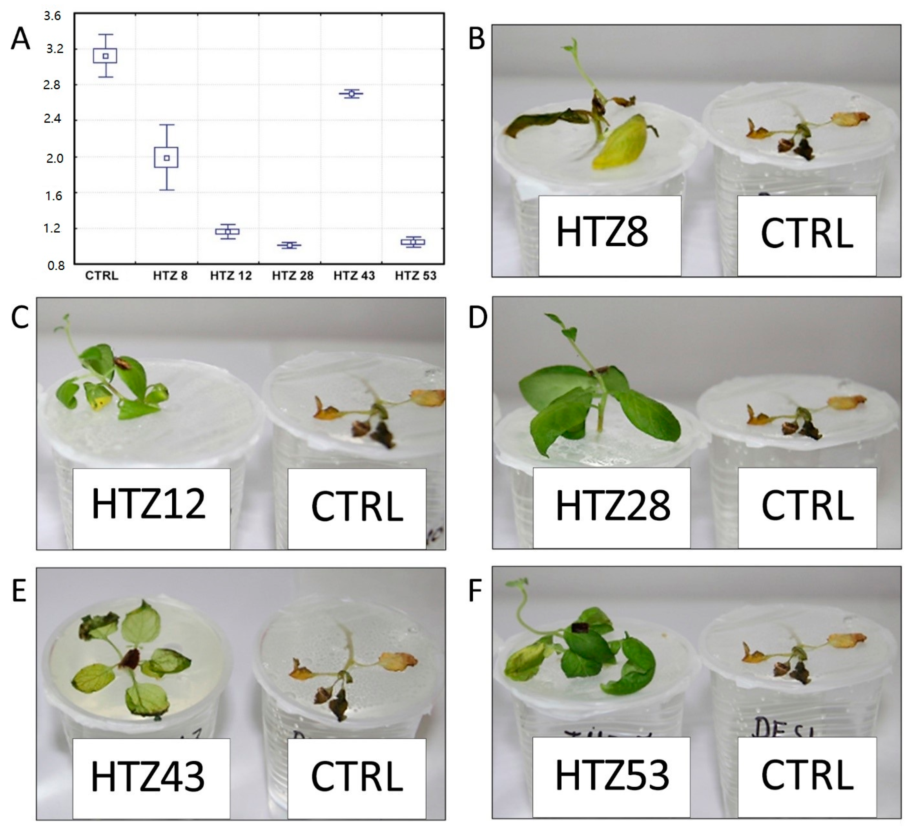 Antioxidants 09 00717 g010 Antioxidants 09 00717 g010