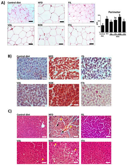 Antioxidants Special Issue Anti Inflammatory And Antioxidant Properties Of Plant Extracts