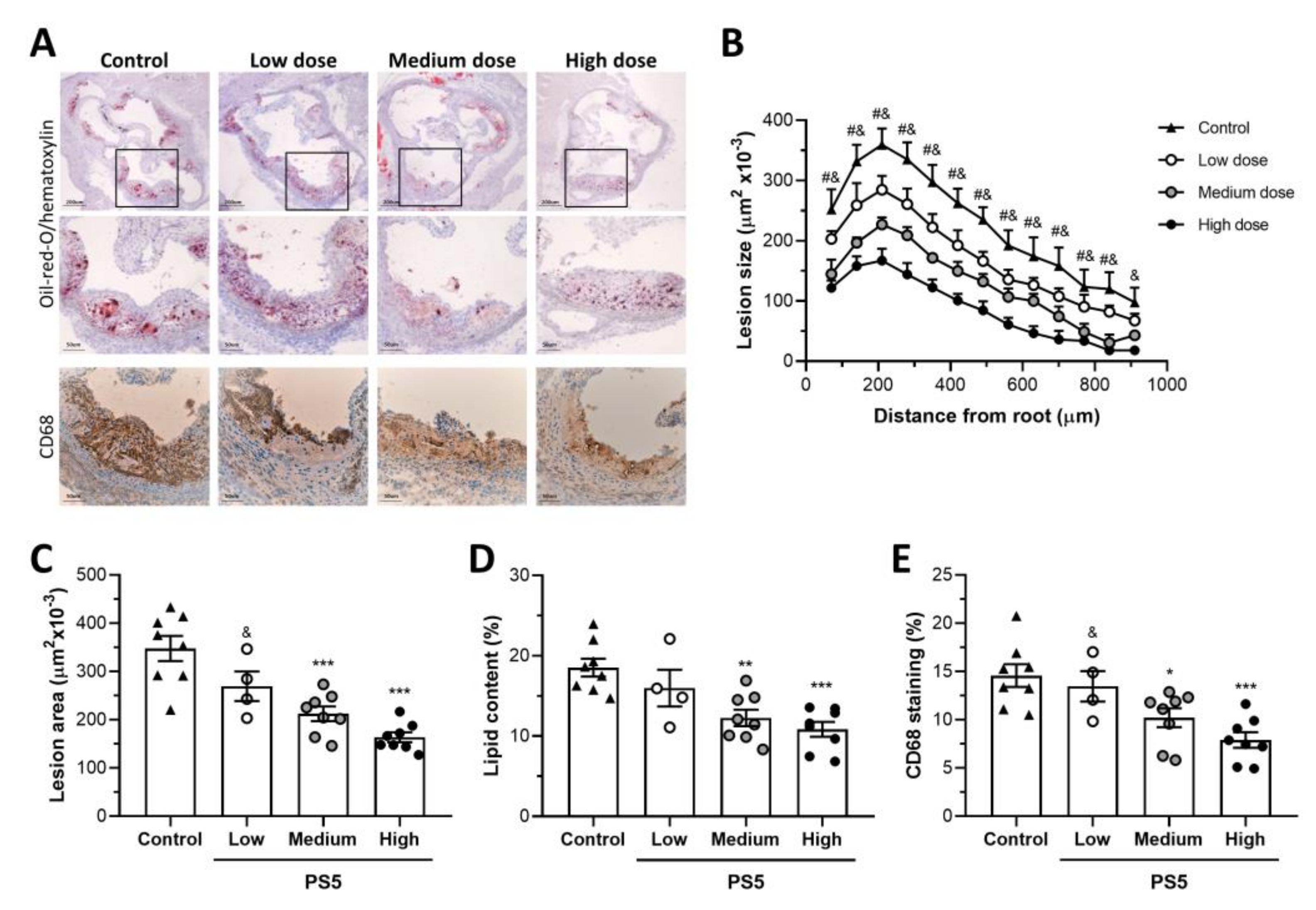 Antioxidants Free Full Text Antioxidant Effects Of Ps5 A Peptidomimetic Of Suppressor Of Cytokine Signaling 1 In Experimental Atherosclerosis Html