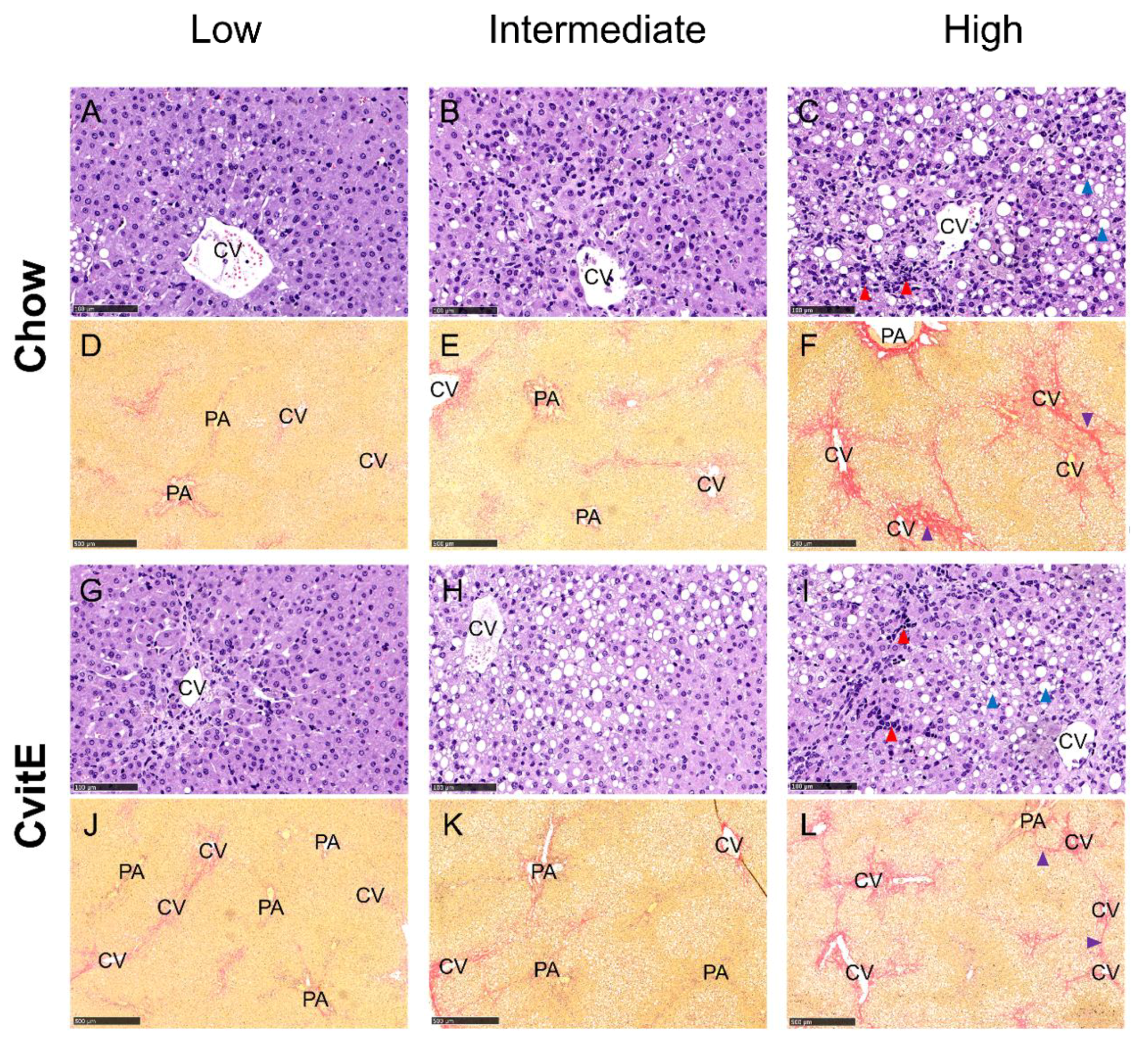 Antioxidants 09 00808 g005