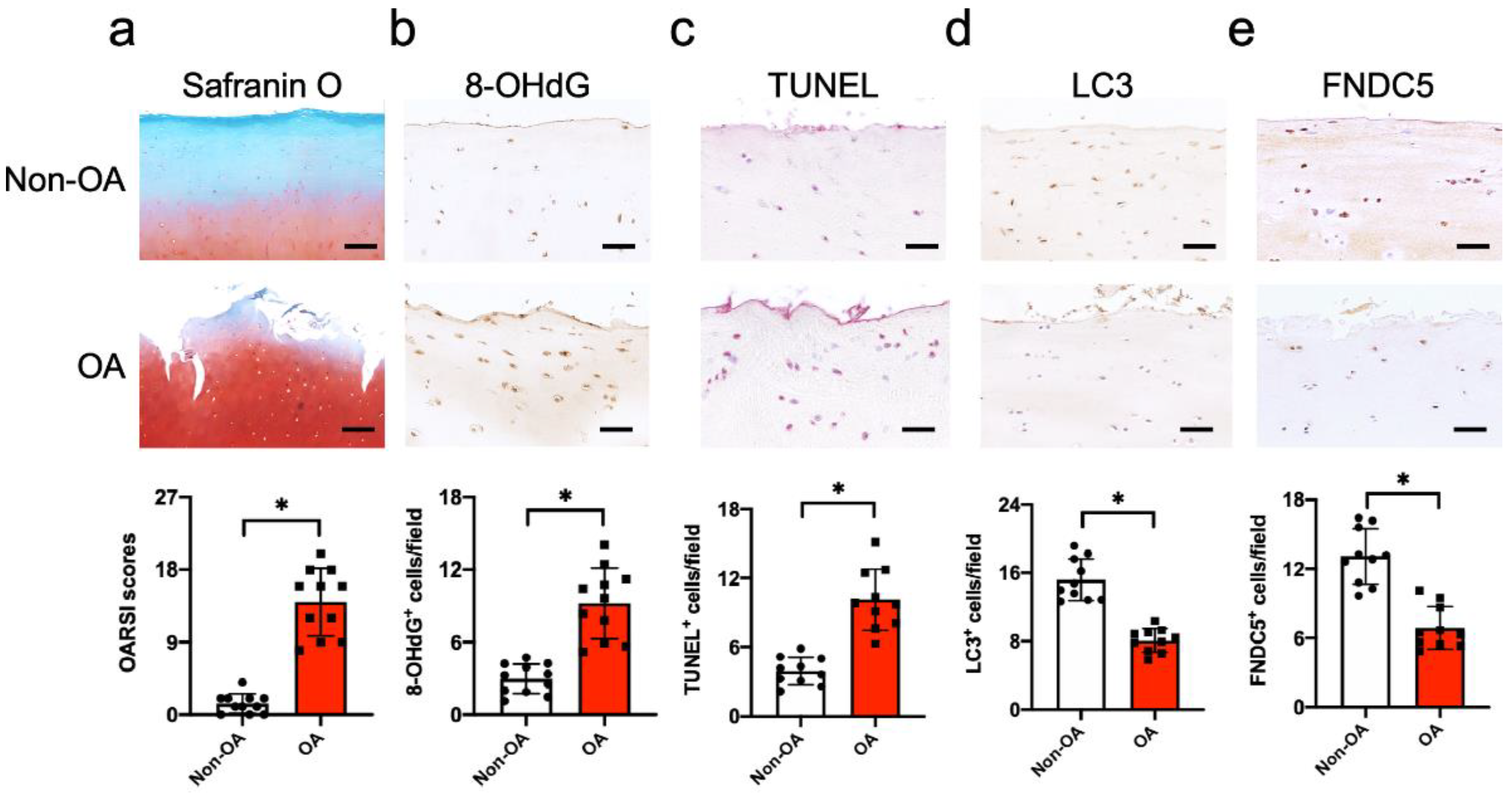 Antioxidants 09 00810 g001