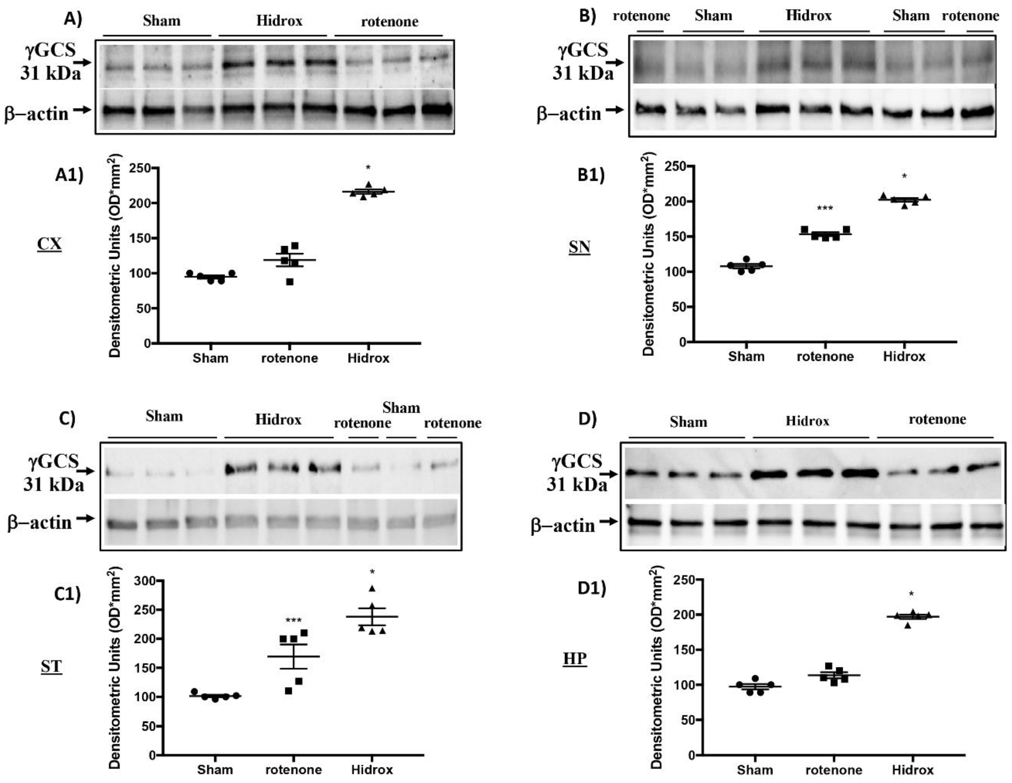 Antioxidants Free Full Text Anti Inflammatory And Anti Oxidant Activity Of Hidrox In Rotenone Induced Parkinson S Disease In Mice Html