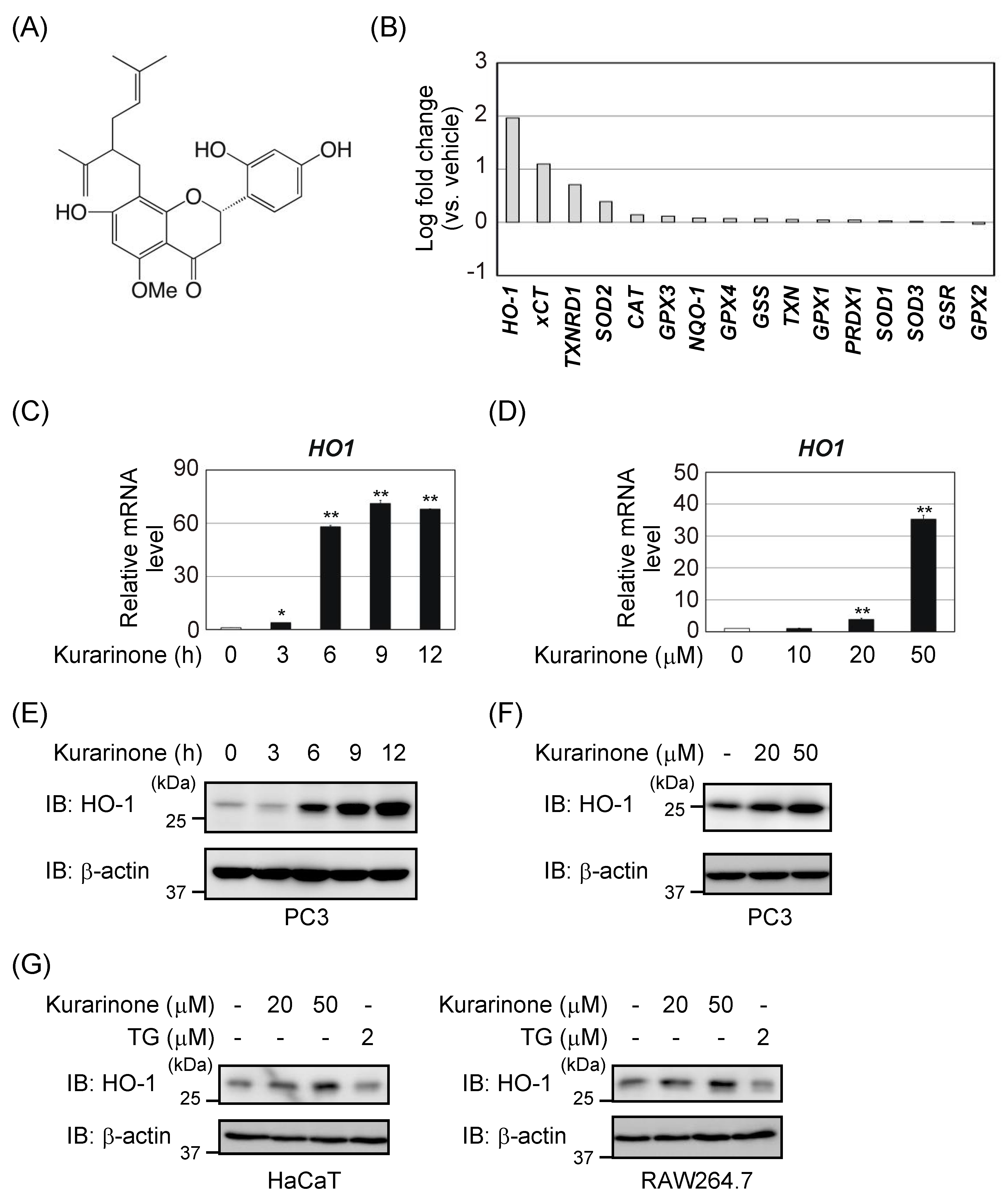 Antioxidants 09 00842 g001
