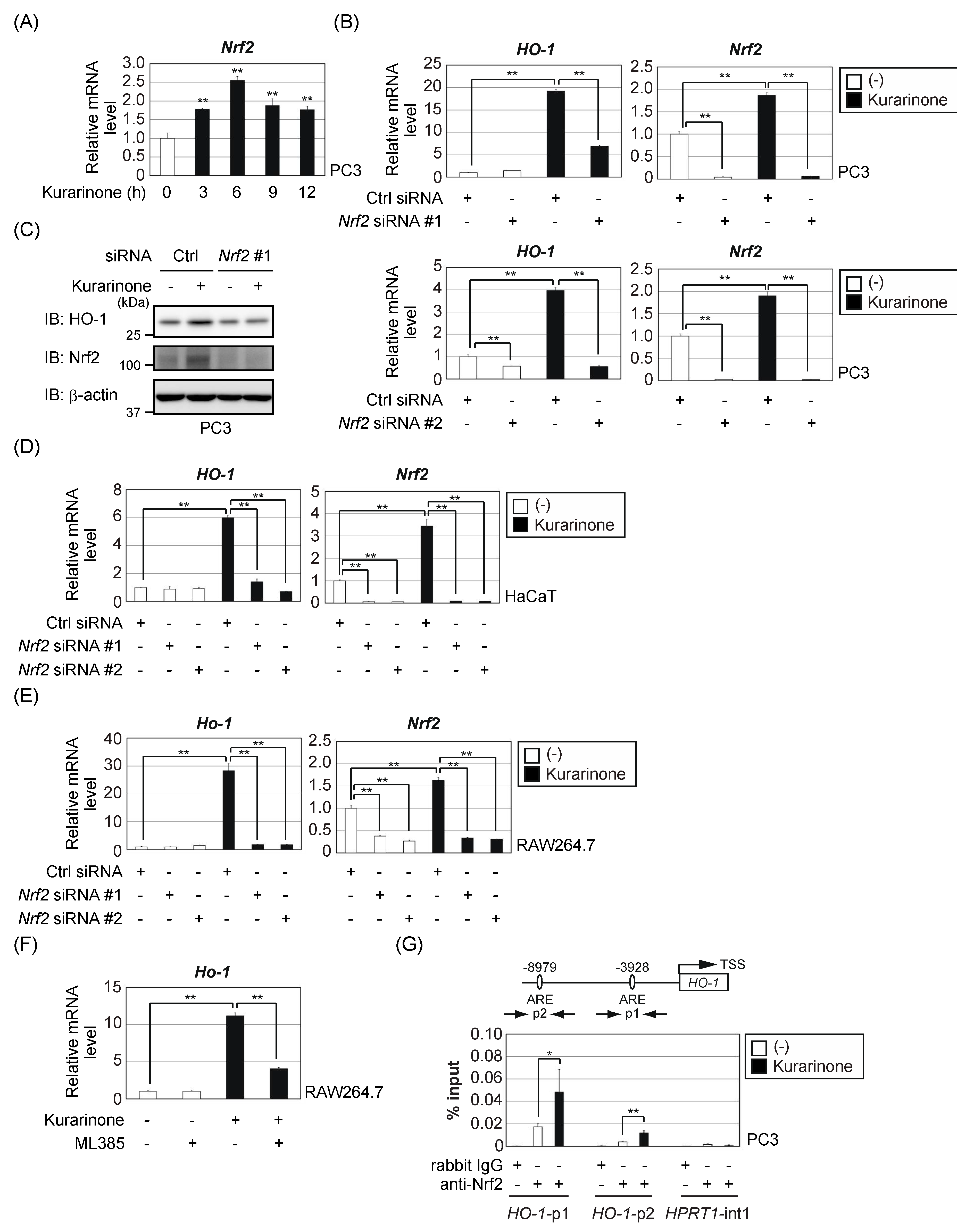 Antioxidants 09 00842 g002