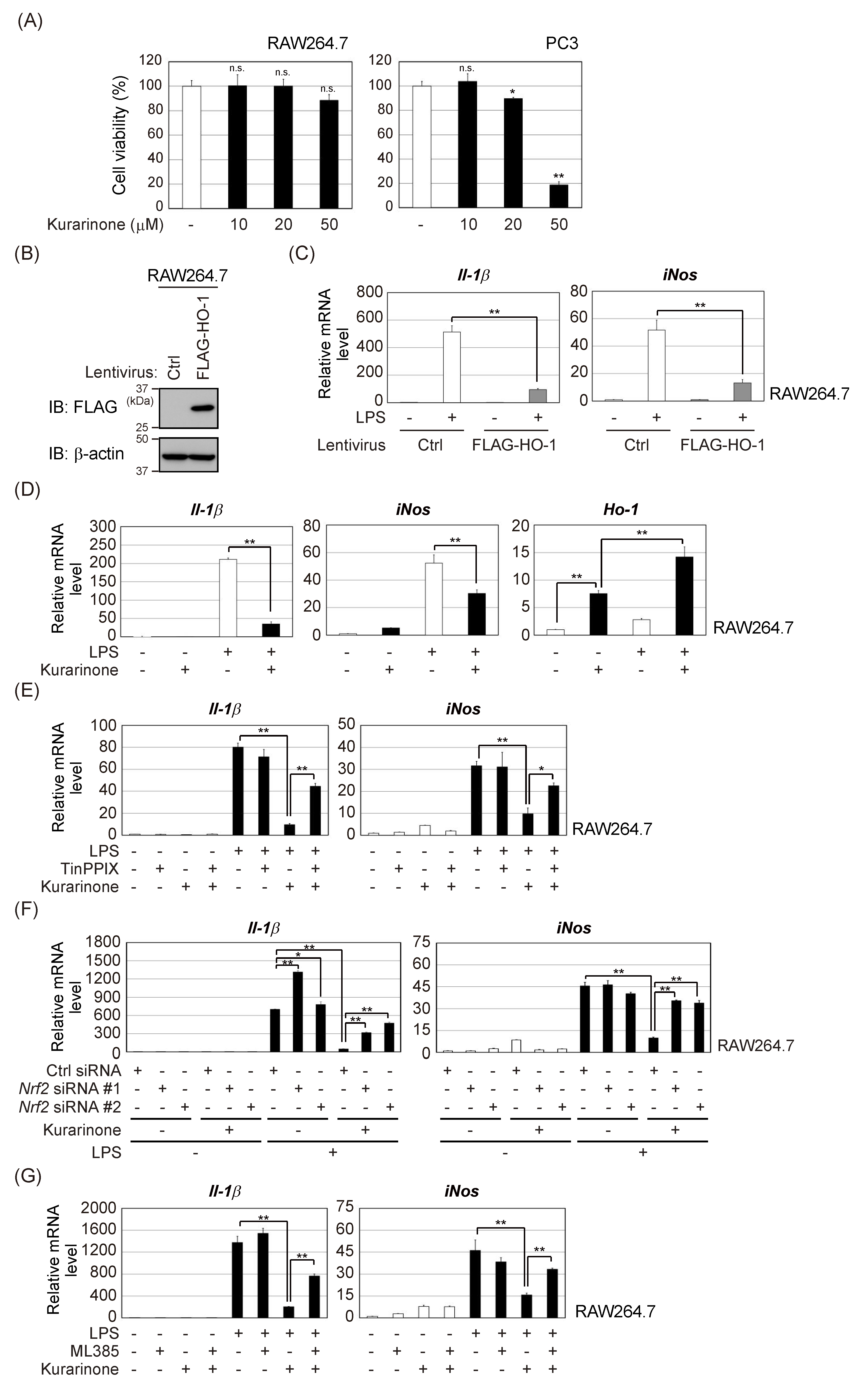 Antioxidants 09 00842 g004