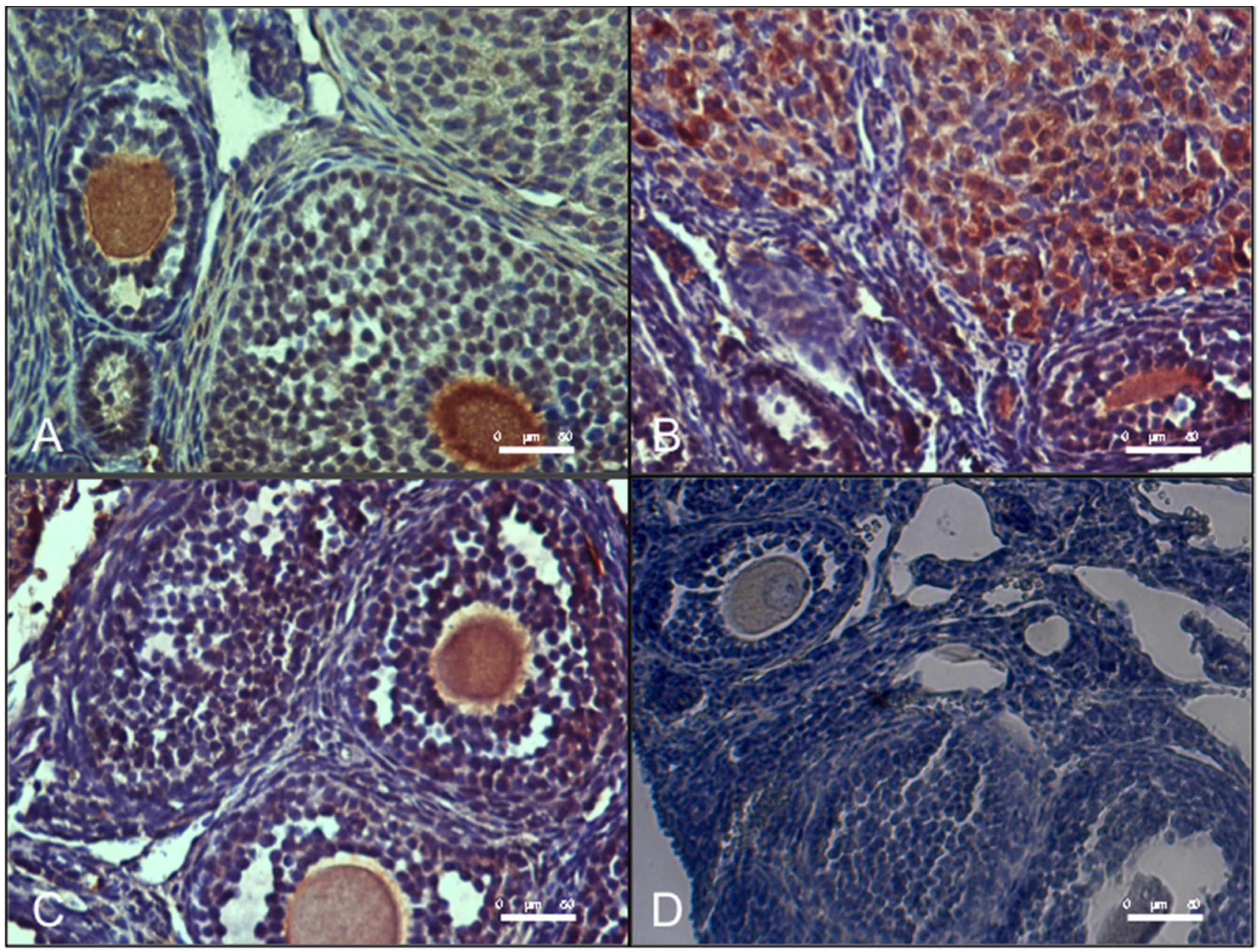 Antioxidants 09 00867 g006