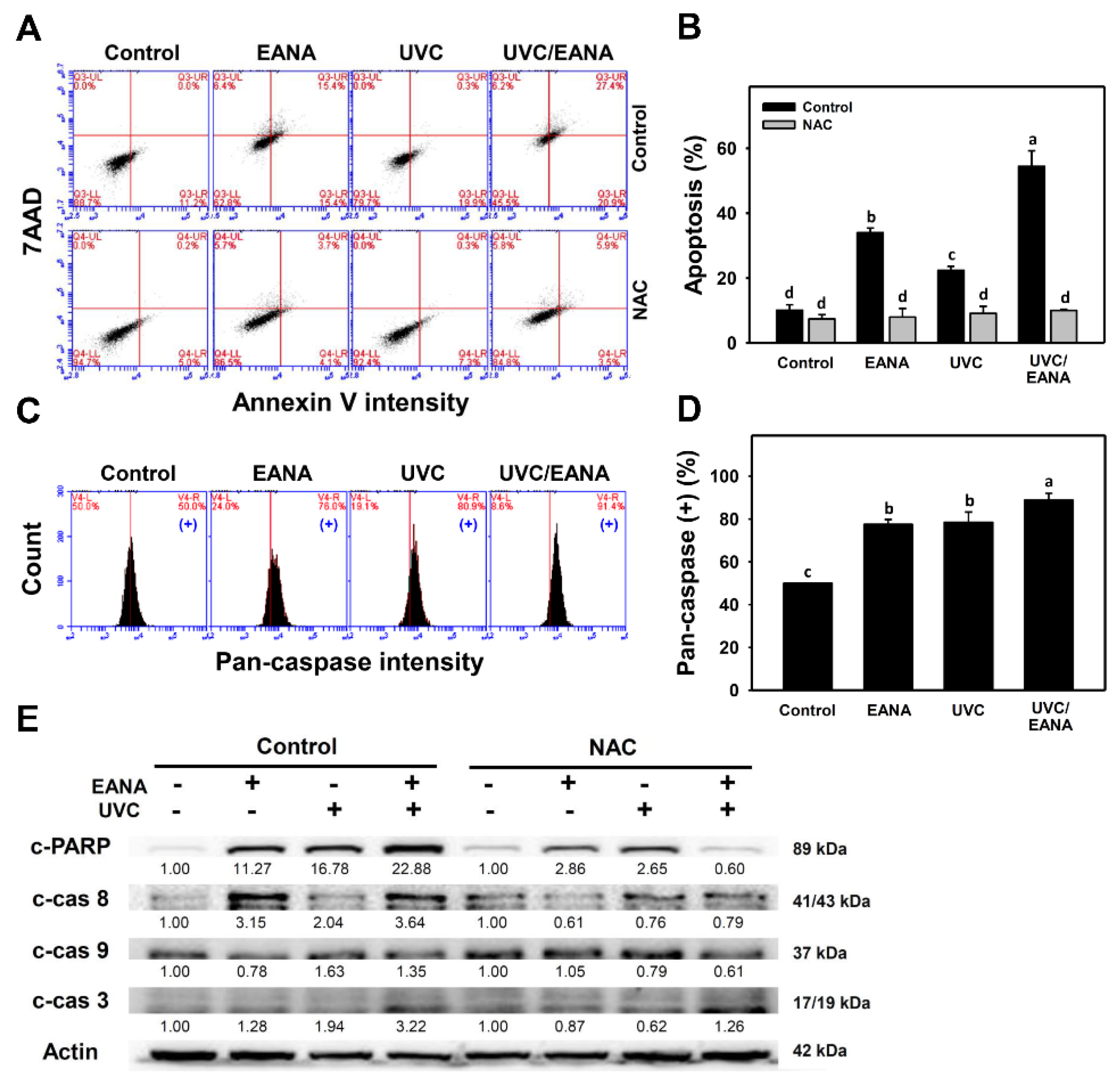 Antioxidants 09 00876 g003