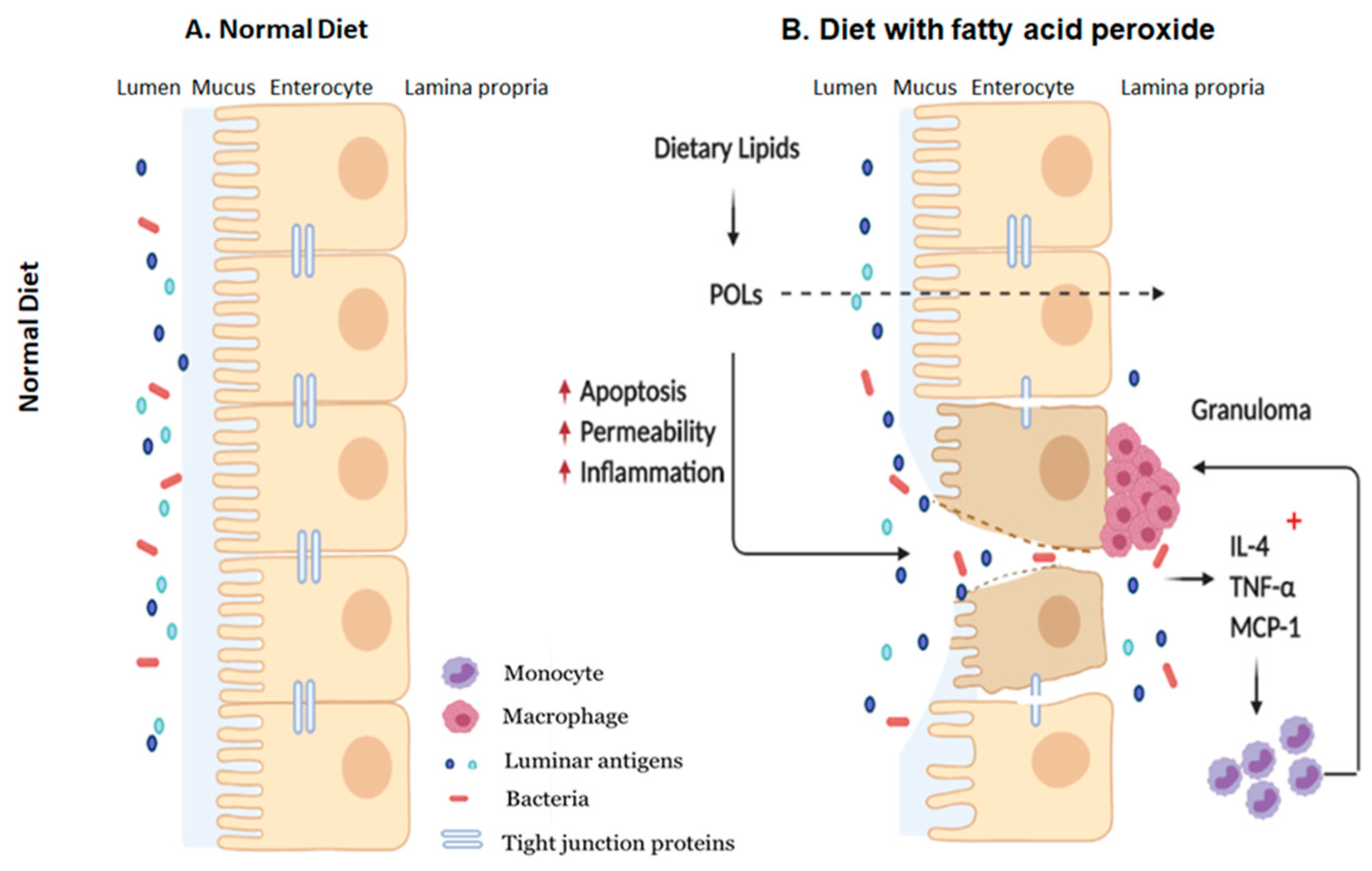 Antioxidants 09 00926 g007