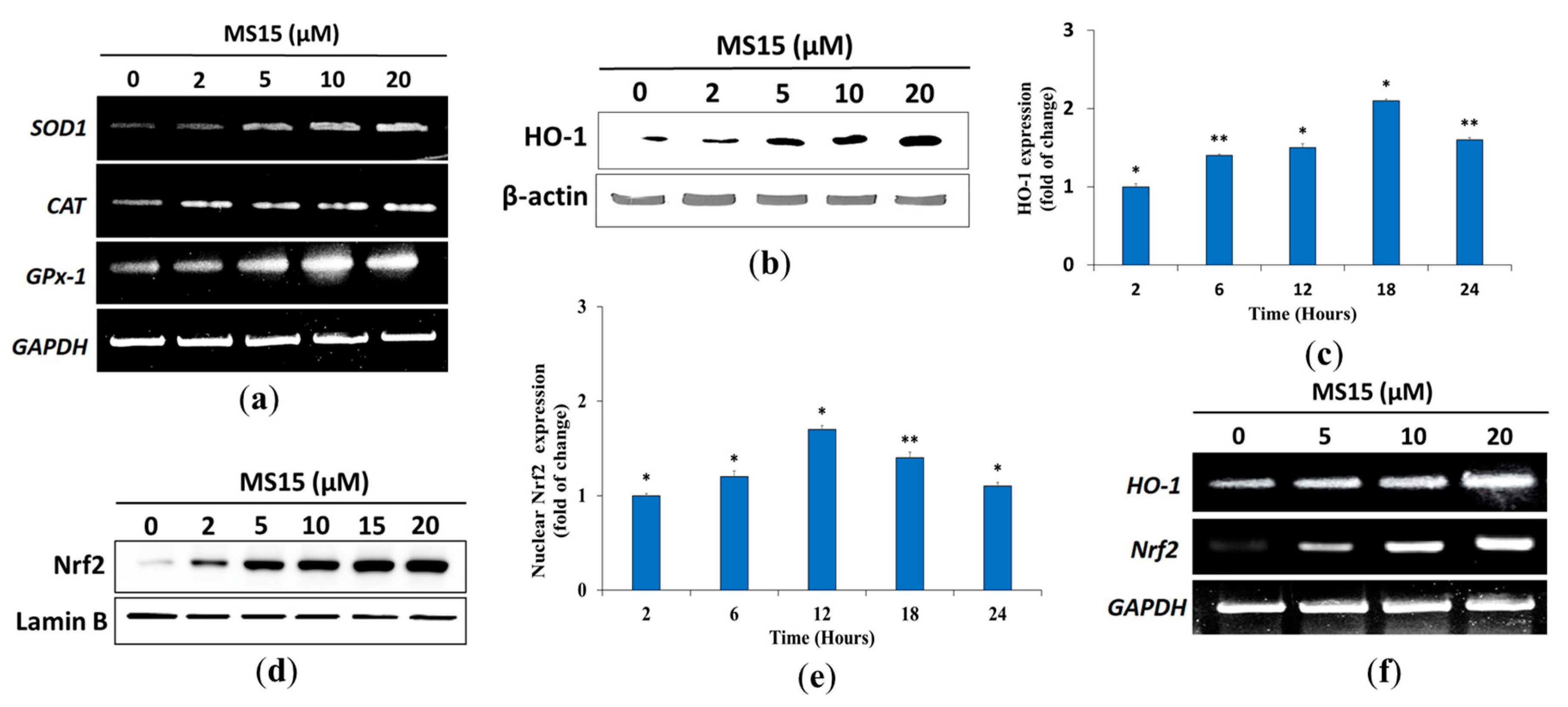 Antioxidants 09 00934 g006
