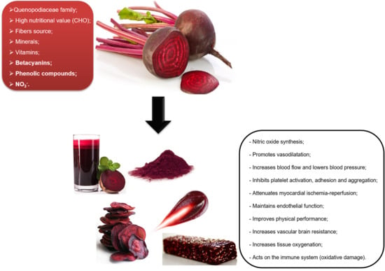 Antioxidants Free Full Text Beetroot A Remarkable Vegetable Its Nitrate And Phytochemical Contents Can Be Adjusted In Novel Formulations To Benefit Health And Support Cardiovascular Disease Therapies