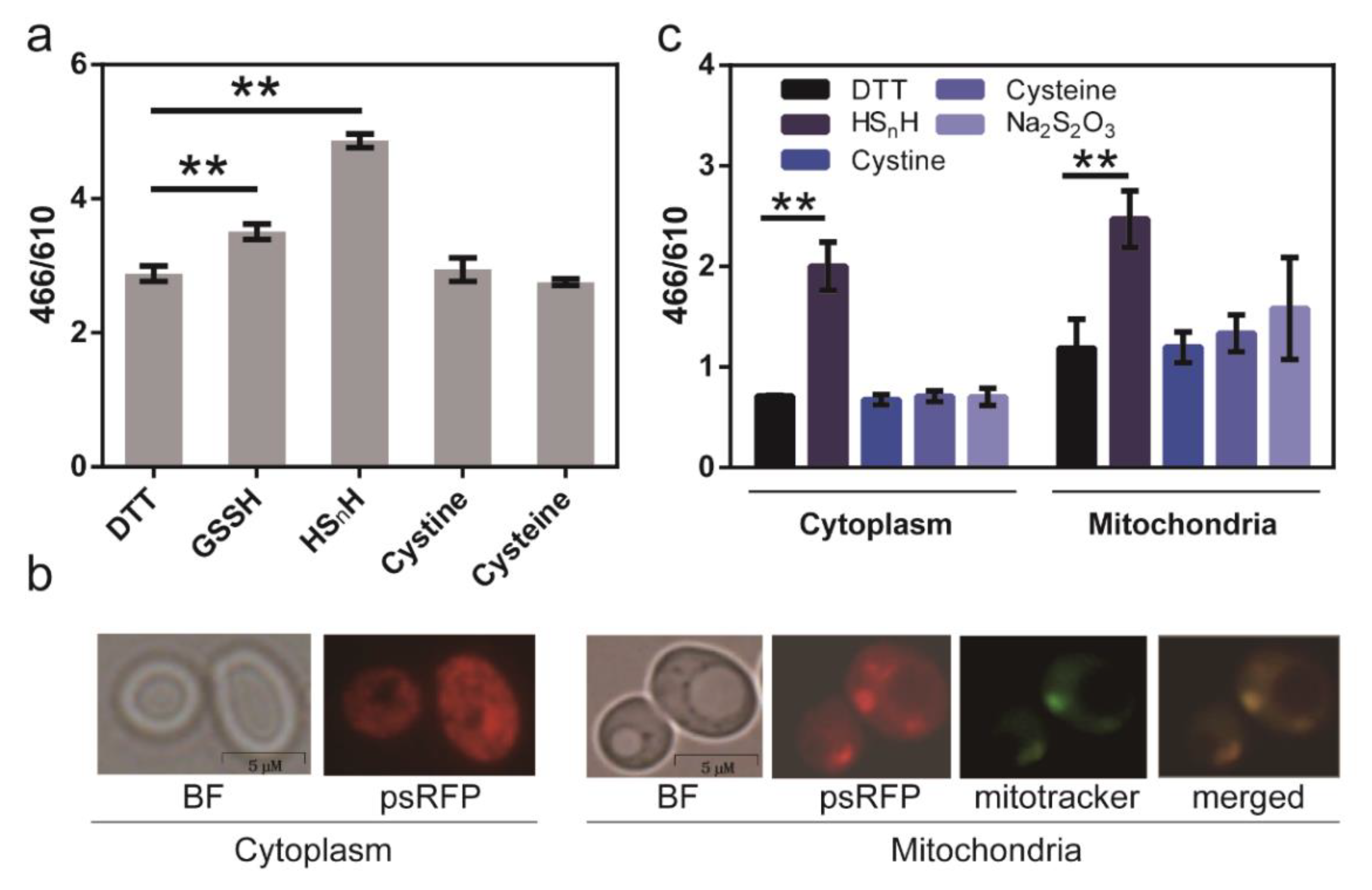 Antioxidants 09 00985 g006 Antioxidants 09 00985 g006