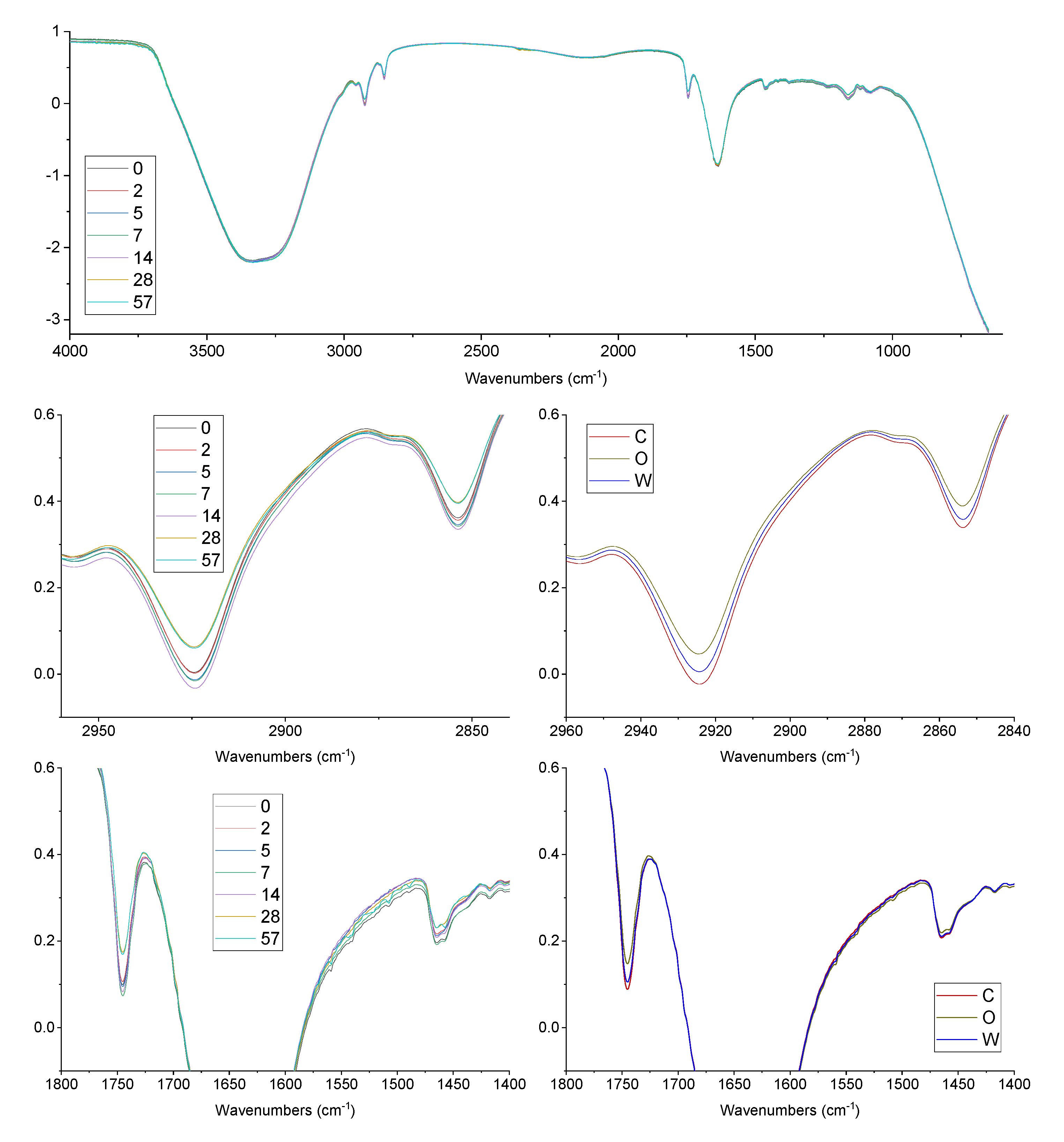 Antioxidants 09 00996 g003 Antioxidants 09 00996 g003