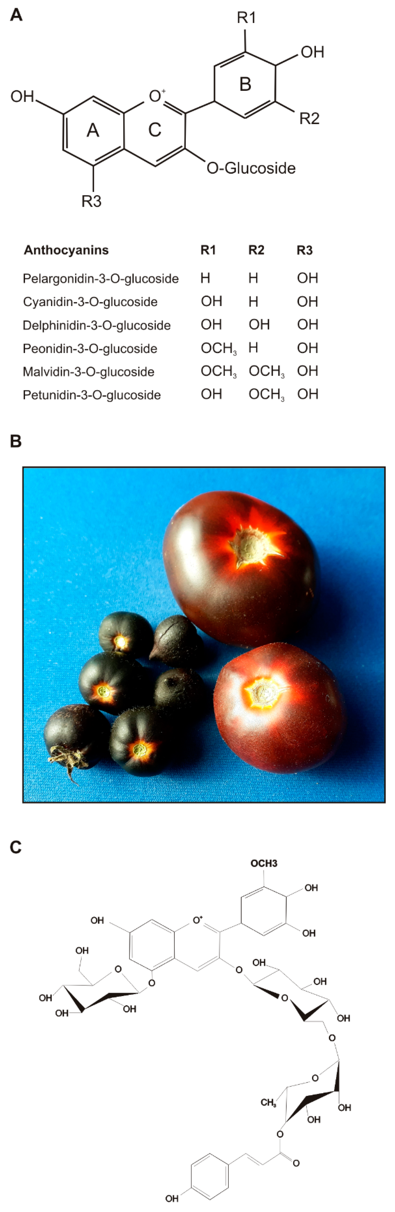 Antioxidants | Free Full-Text | Anthocyanins from Purple Tomatoes as Novel  Antioxidants to Promote Human Health | HTML