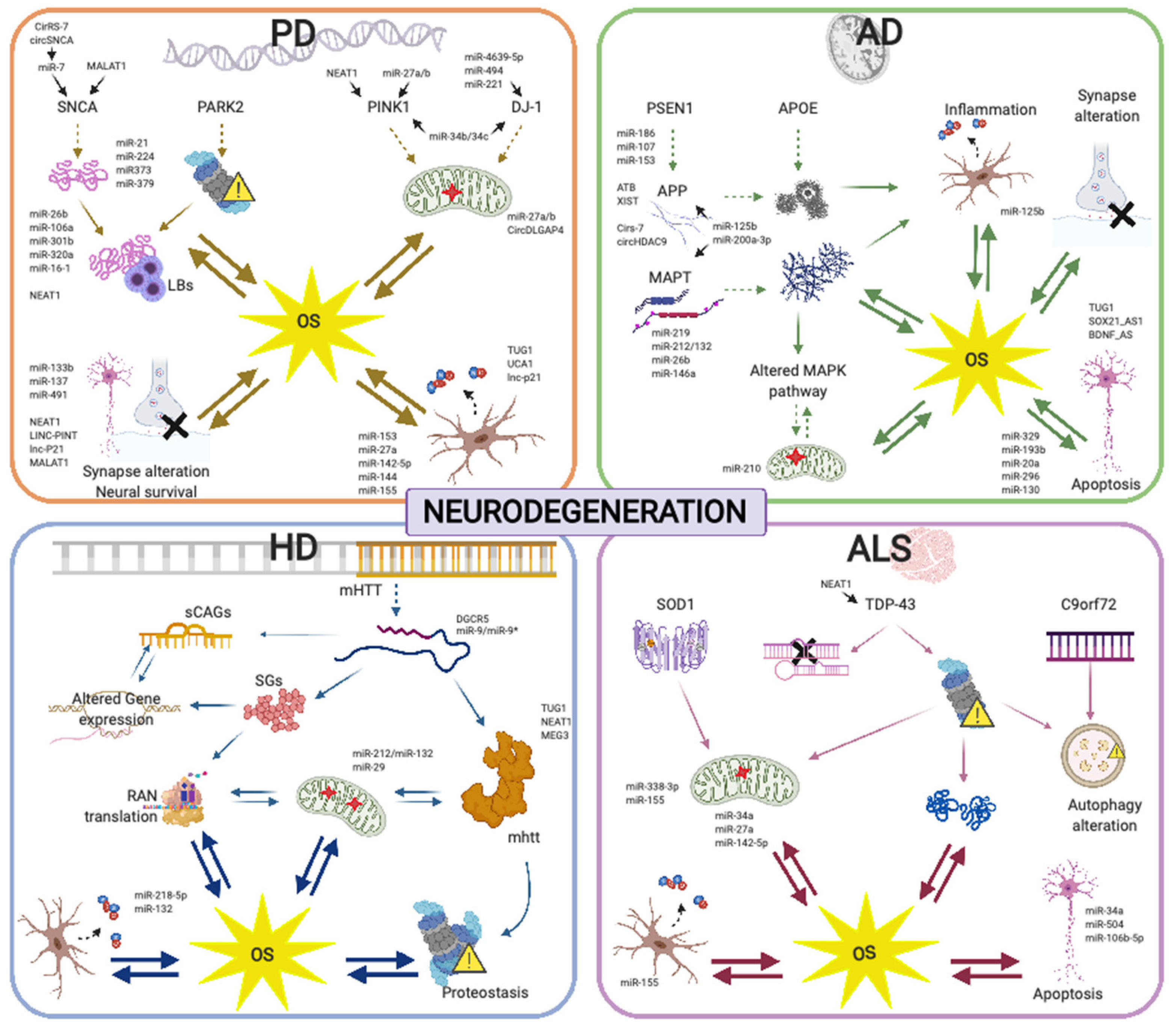Antioxidants 09 01095 g002