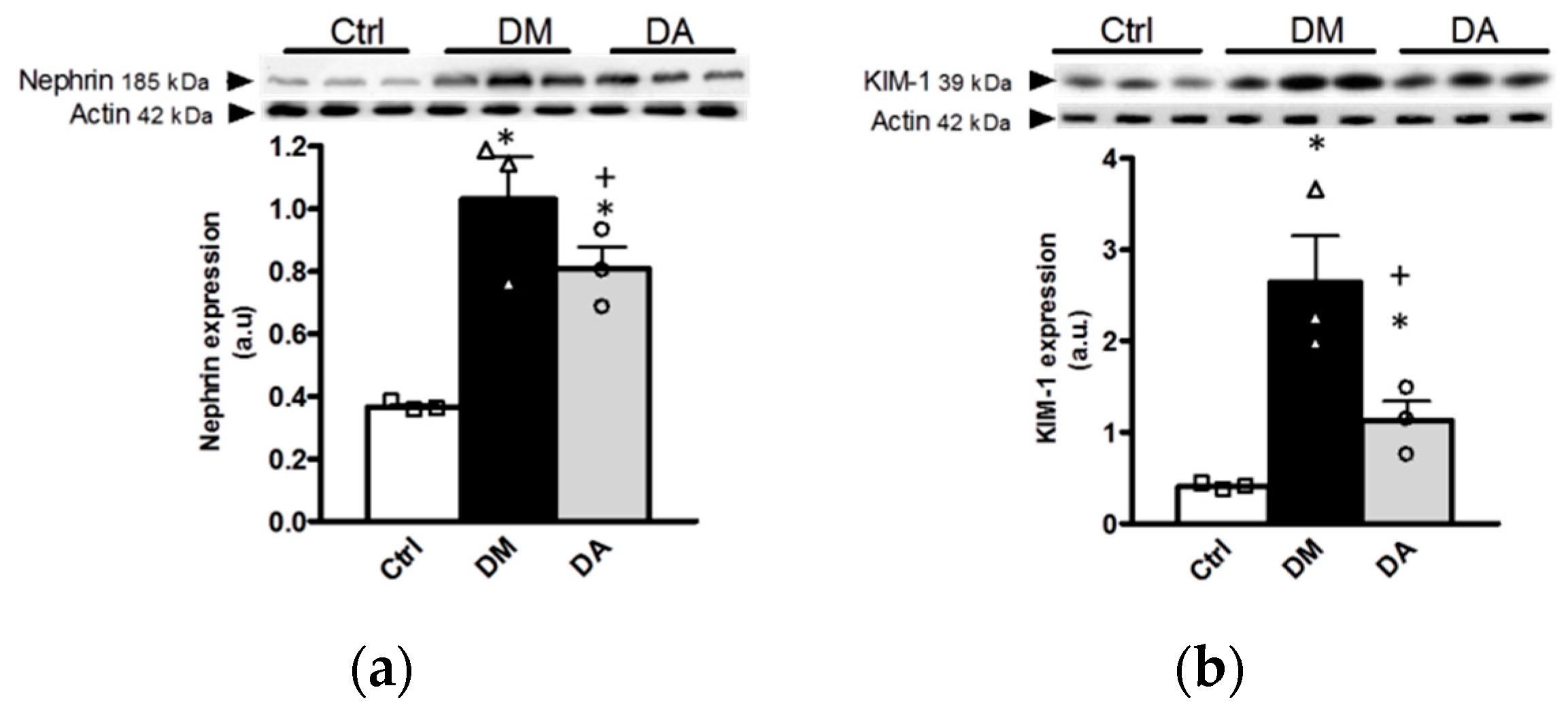 Antioxidants 09 01134 g003 Antioxidants 09 01134 g003