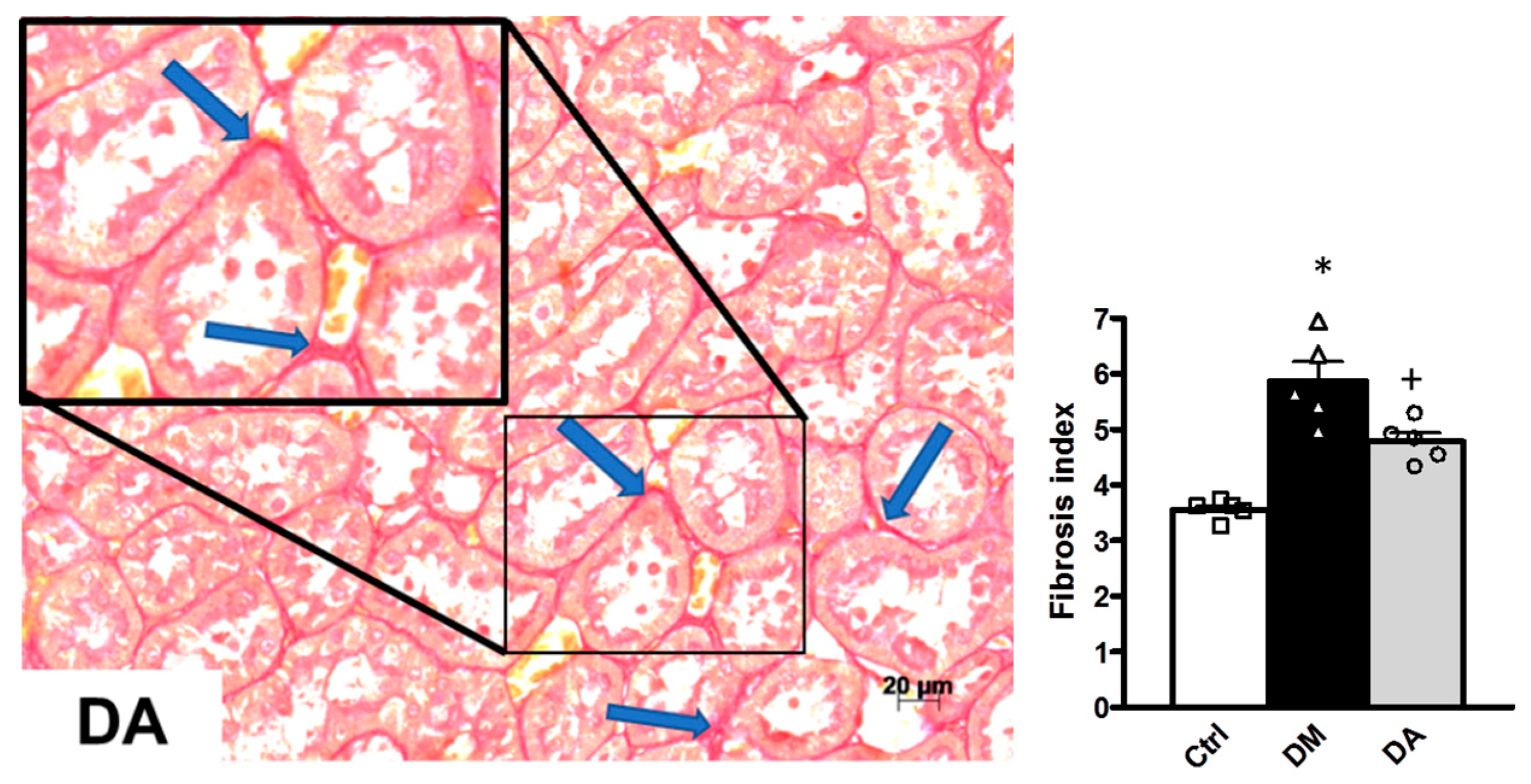 Antioxidants 09 01134 g005b Antioxidants 09 01134 g005b
