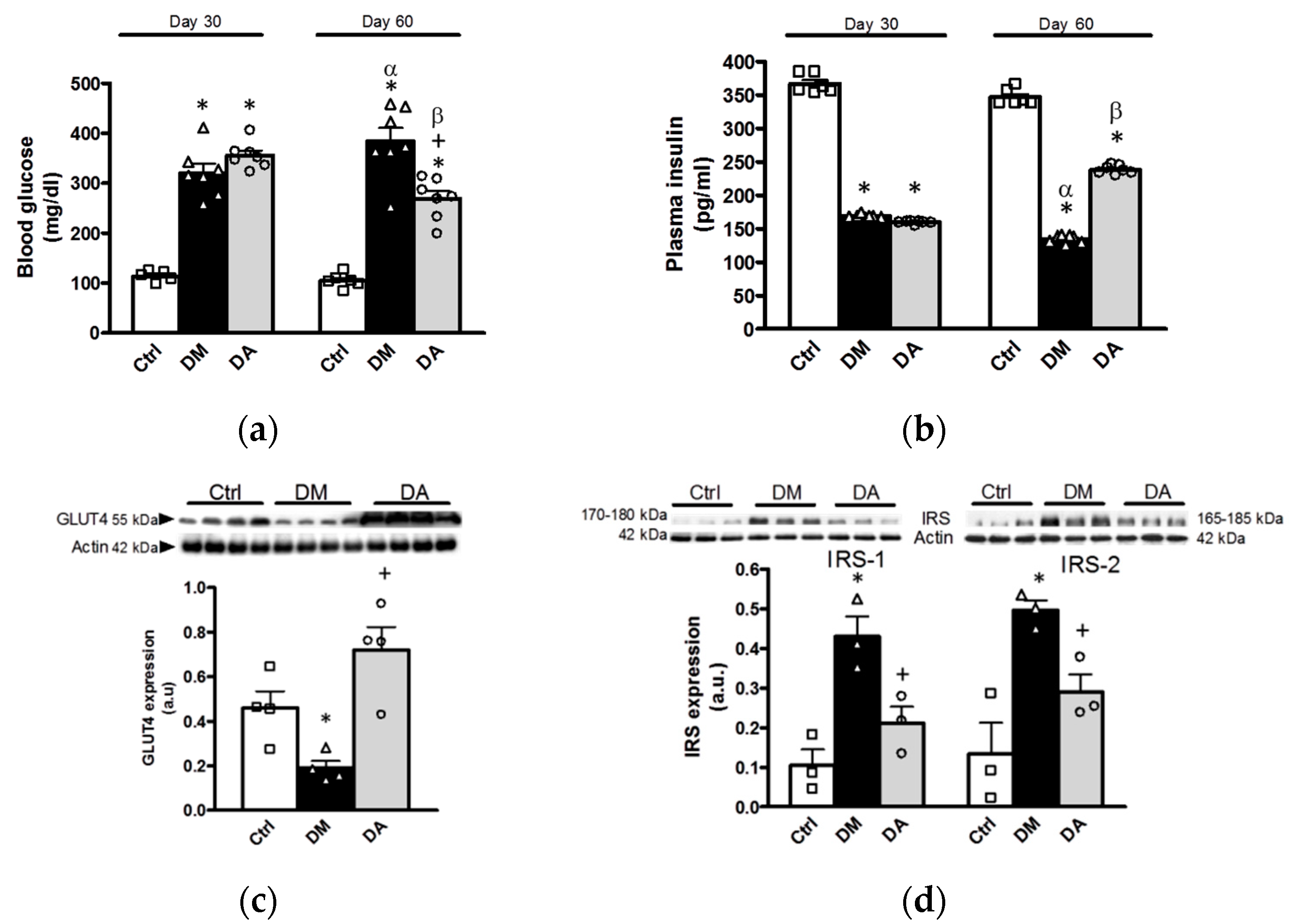 Antioxidants 09 01134 g009 Antioxidants 09 01134 g009