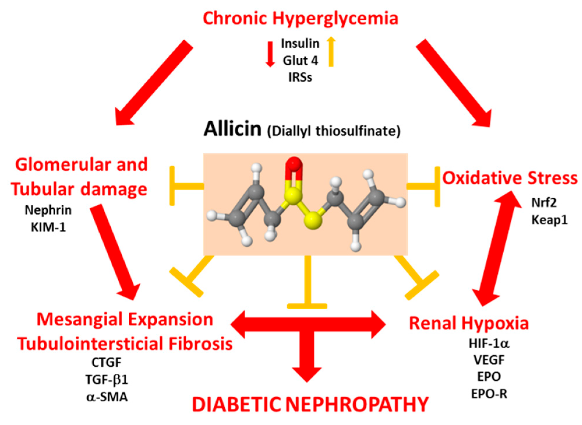 Antioxidants 09 01134 g010 Antioxidants 09 01134 g010