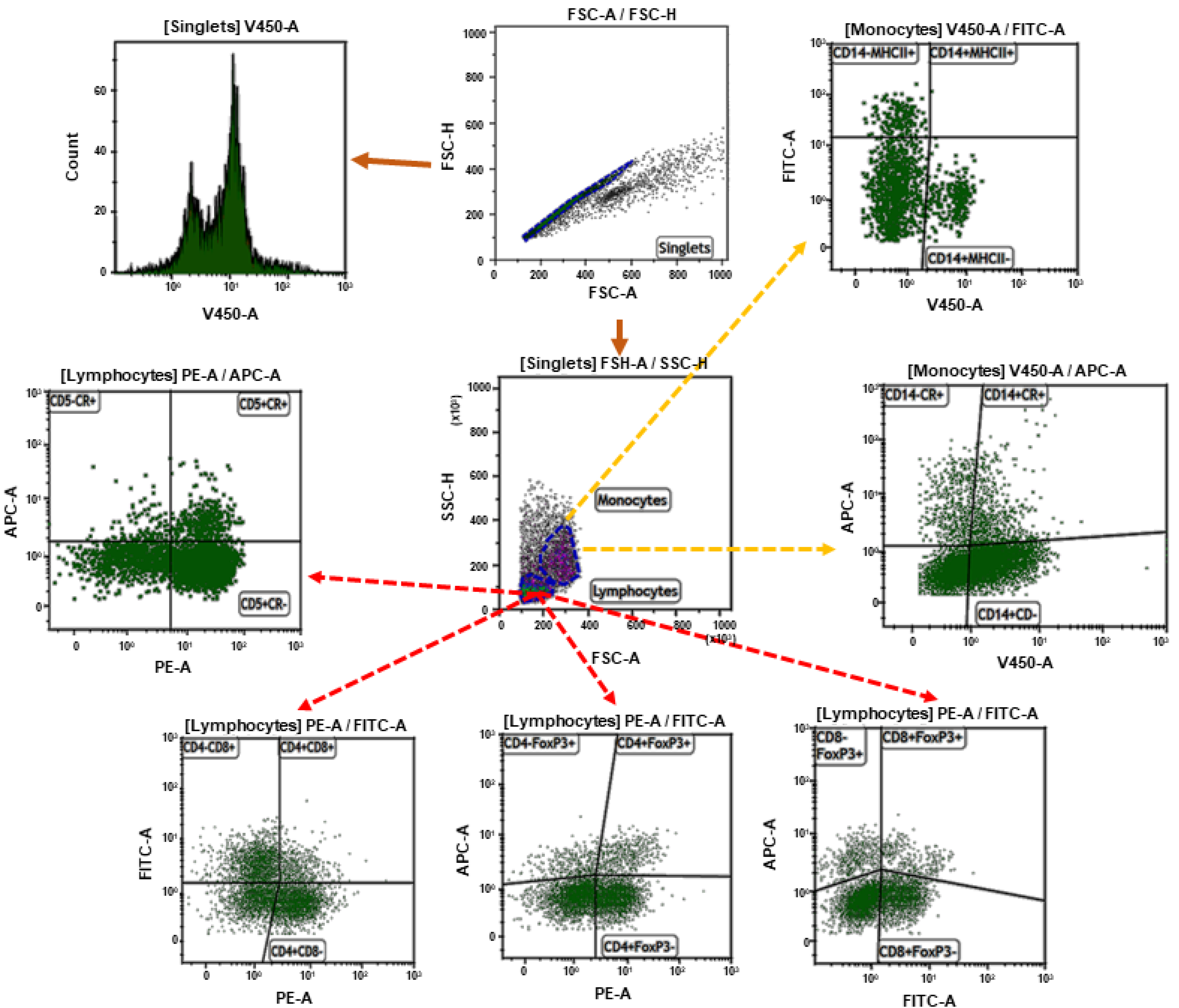 Antioxidants 09 01155 g001 Antioxidants 09 01155 g001