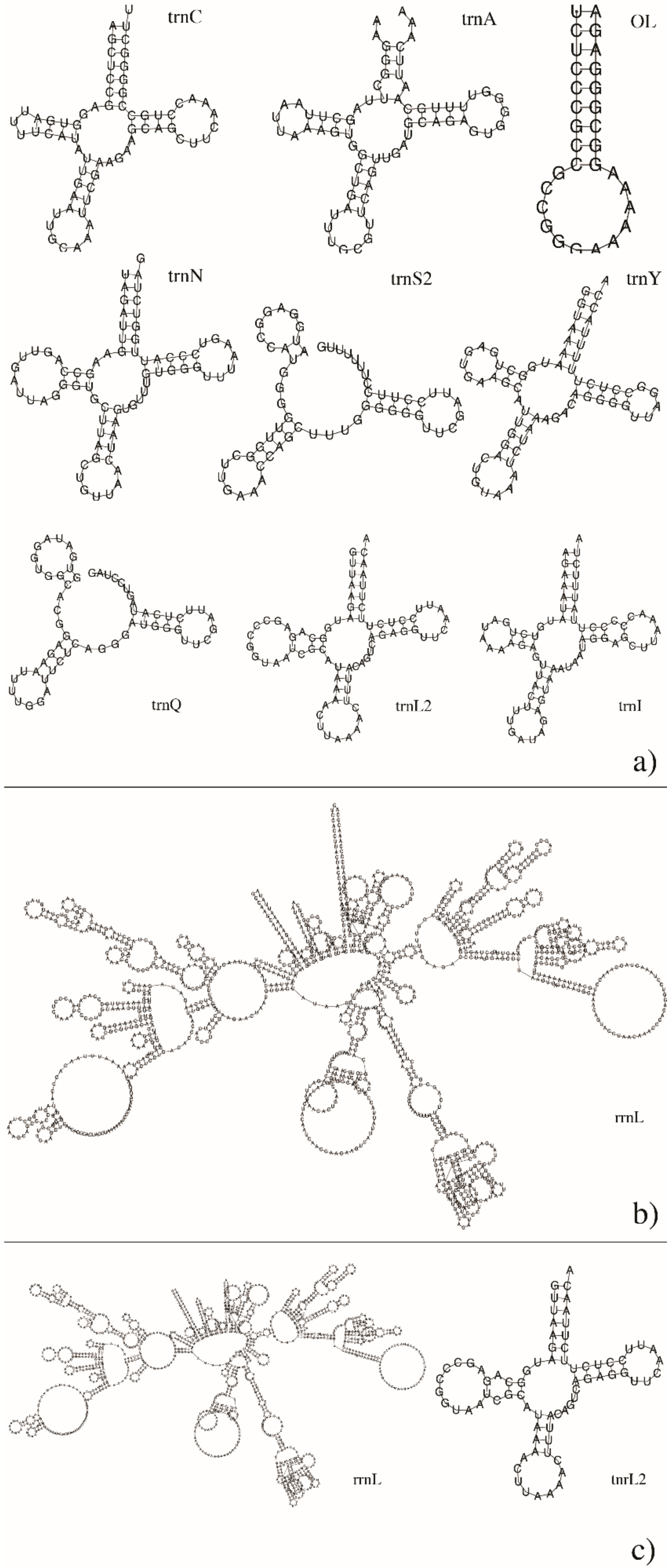 Latest ACP-620 Braindumps Pdf