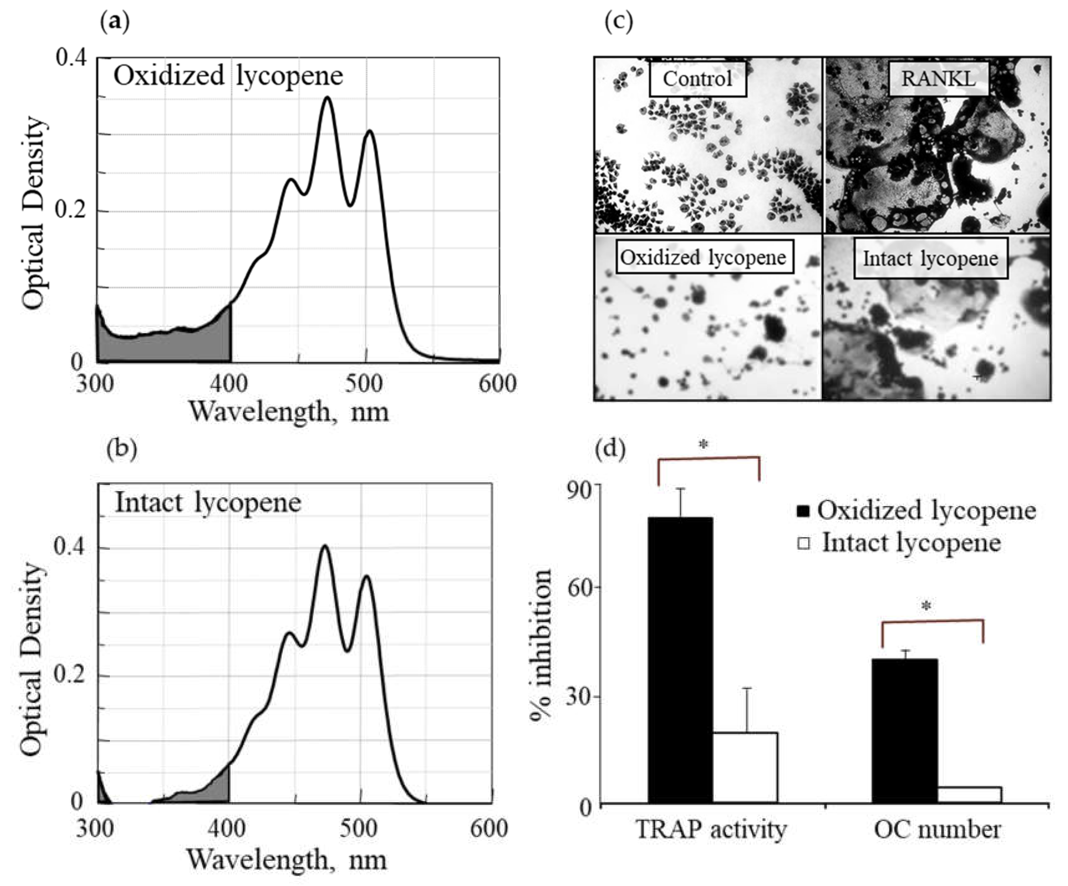 Antioxidants Free Full Text Inhibition Of Osteoclast Differentiation By Carotenoid Derivatives Through Inhibition Of The Nf Kb Pathway