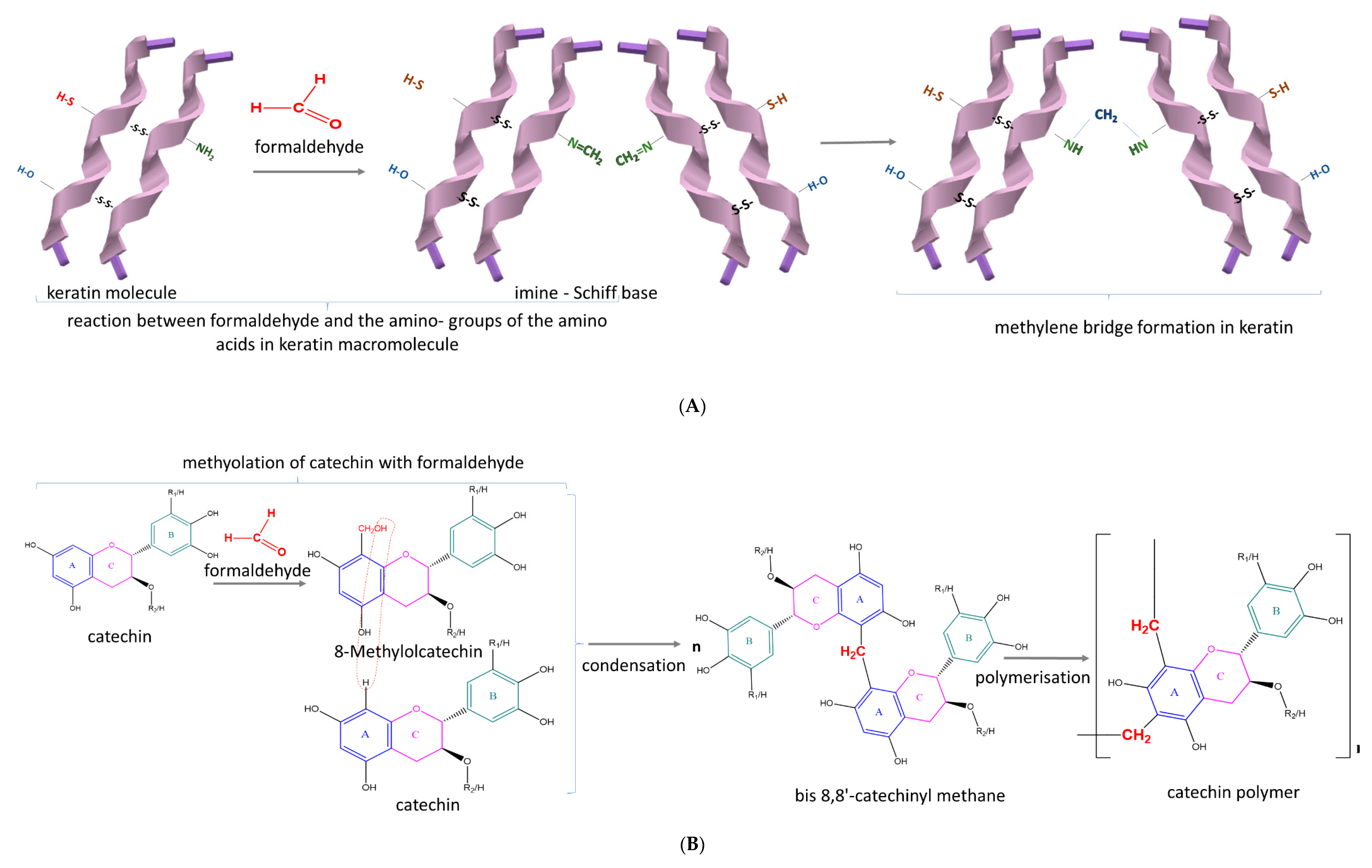 Antioxidants 09 01180 g003a
