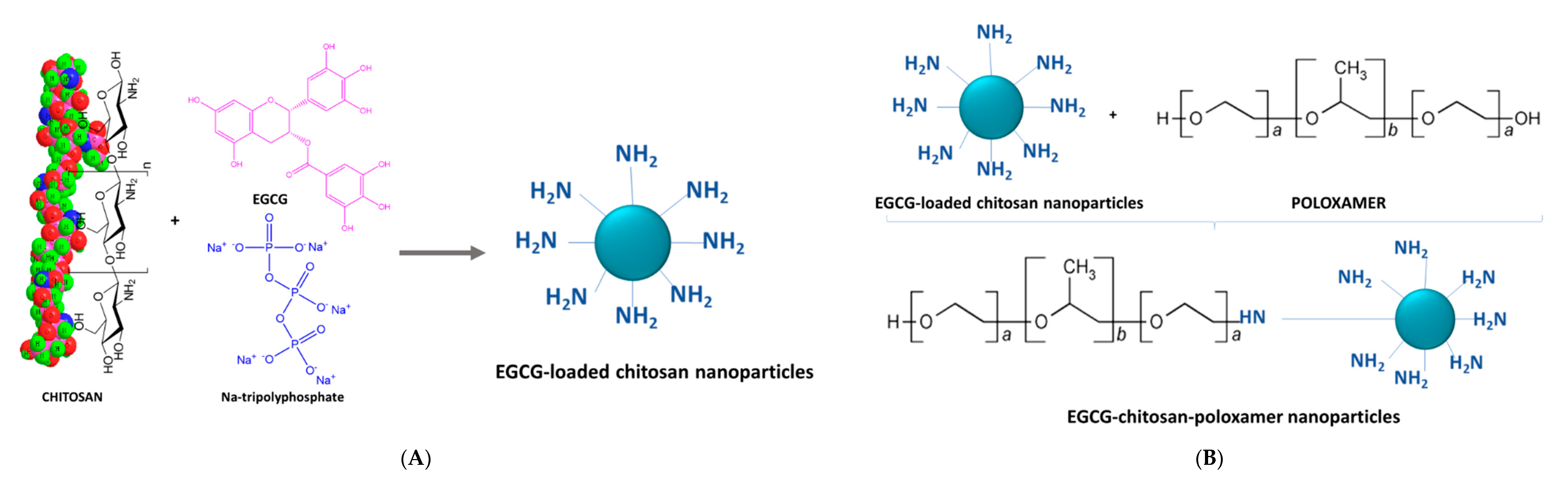 Antioxidants 09 01180 g004a