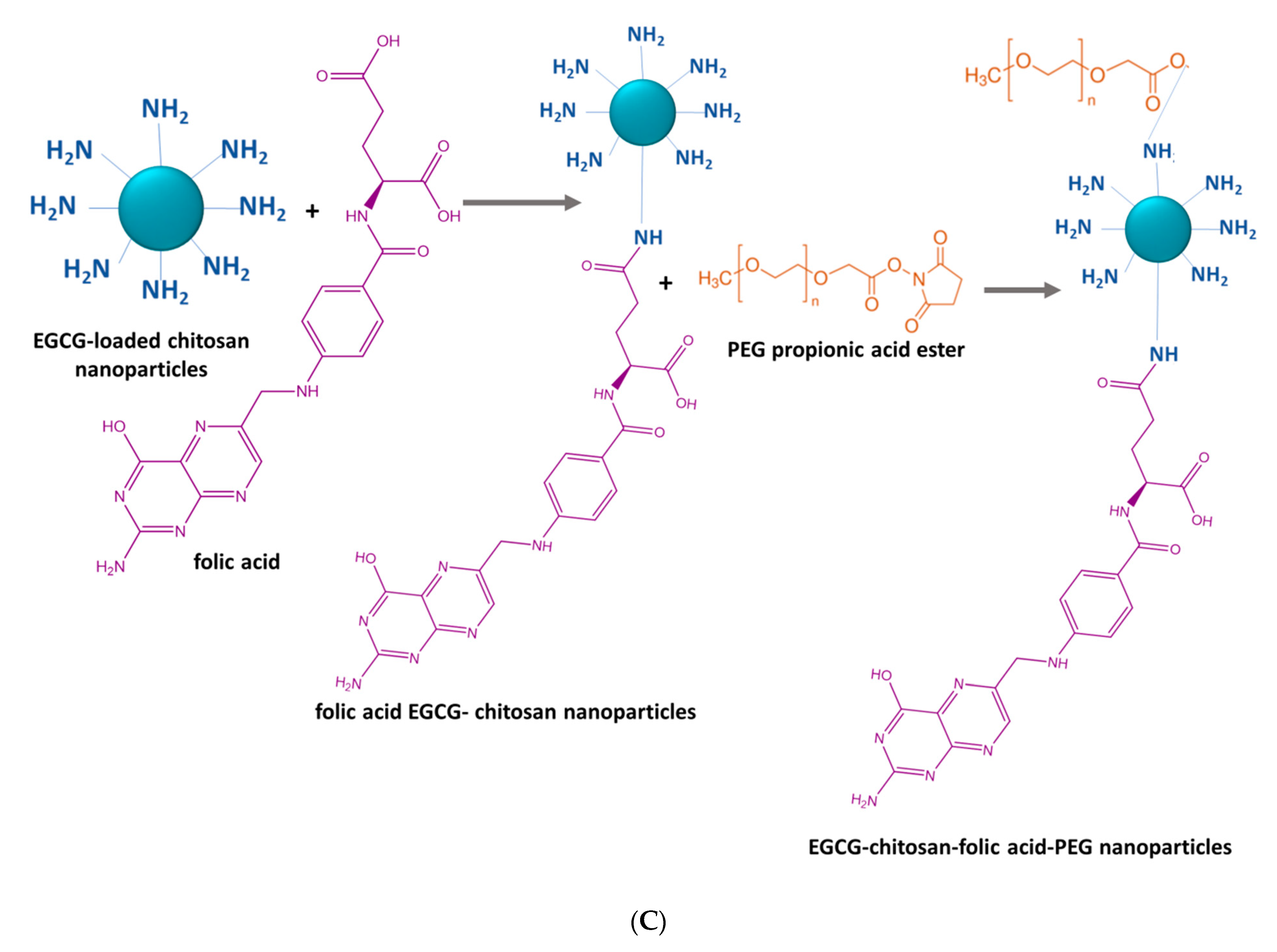 Antioxidants 09 01180 g004b
