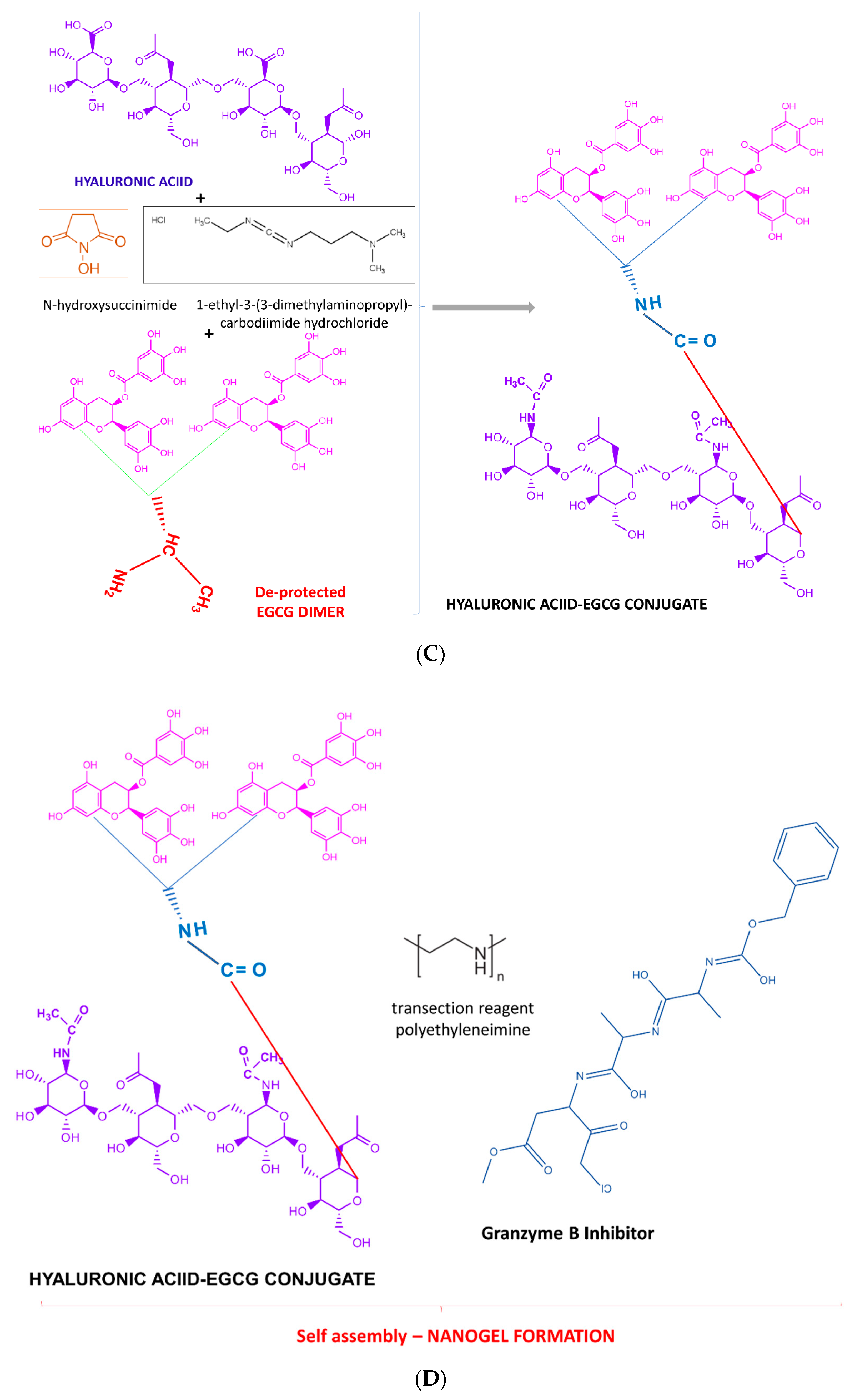 Antioxidants 09 01180 g005b