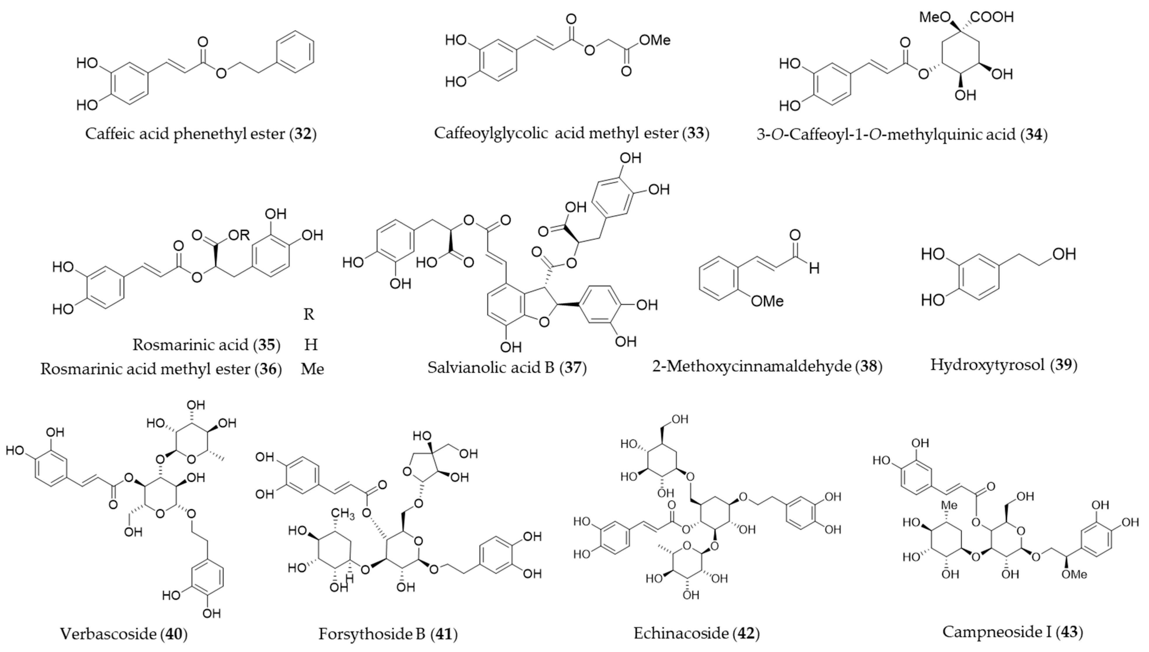 Antioxidants 09 01191 g008