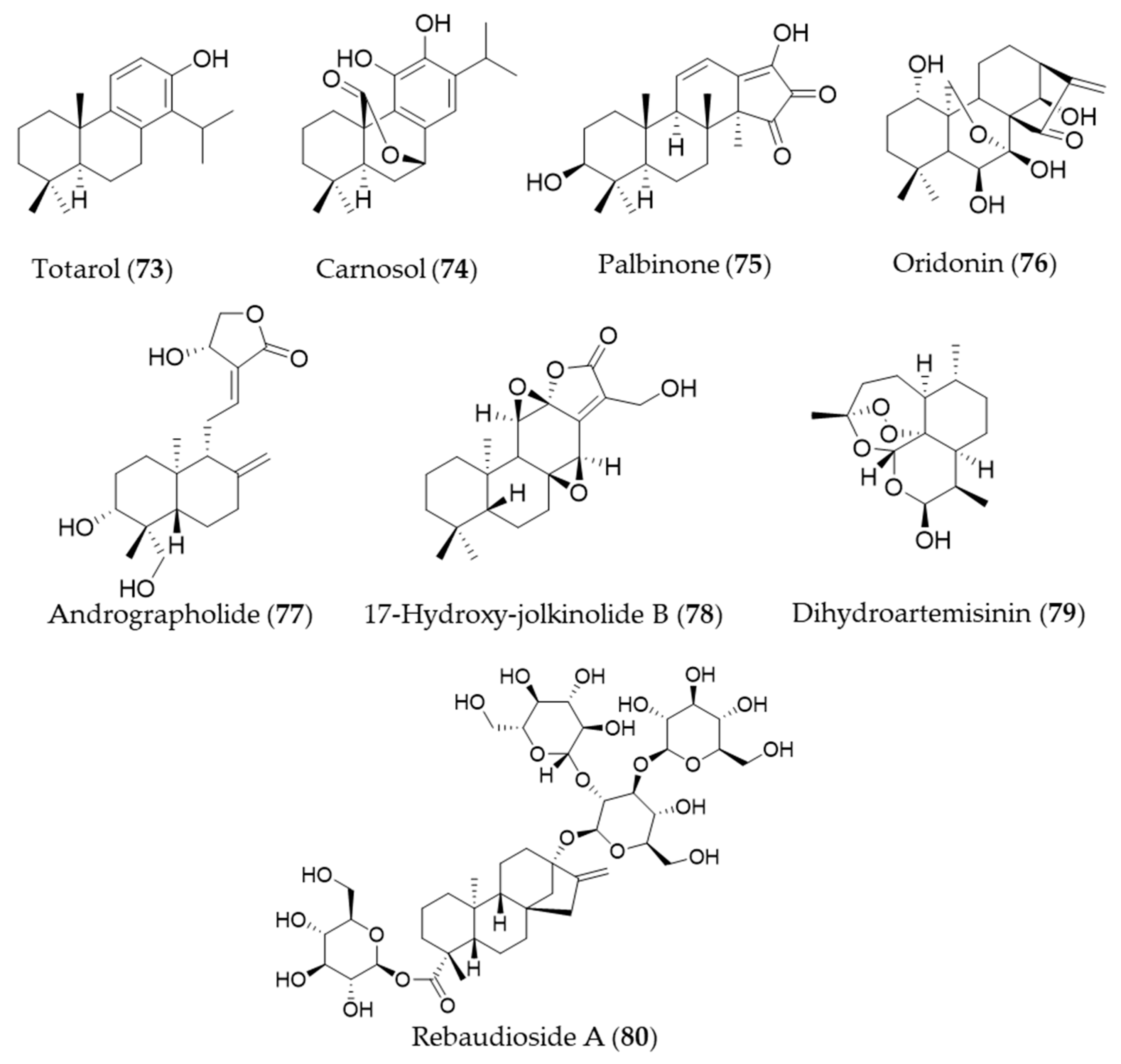 Antioxidants 09 01191 g013