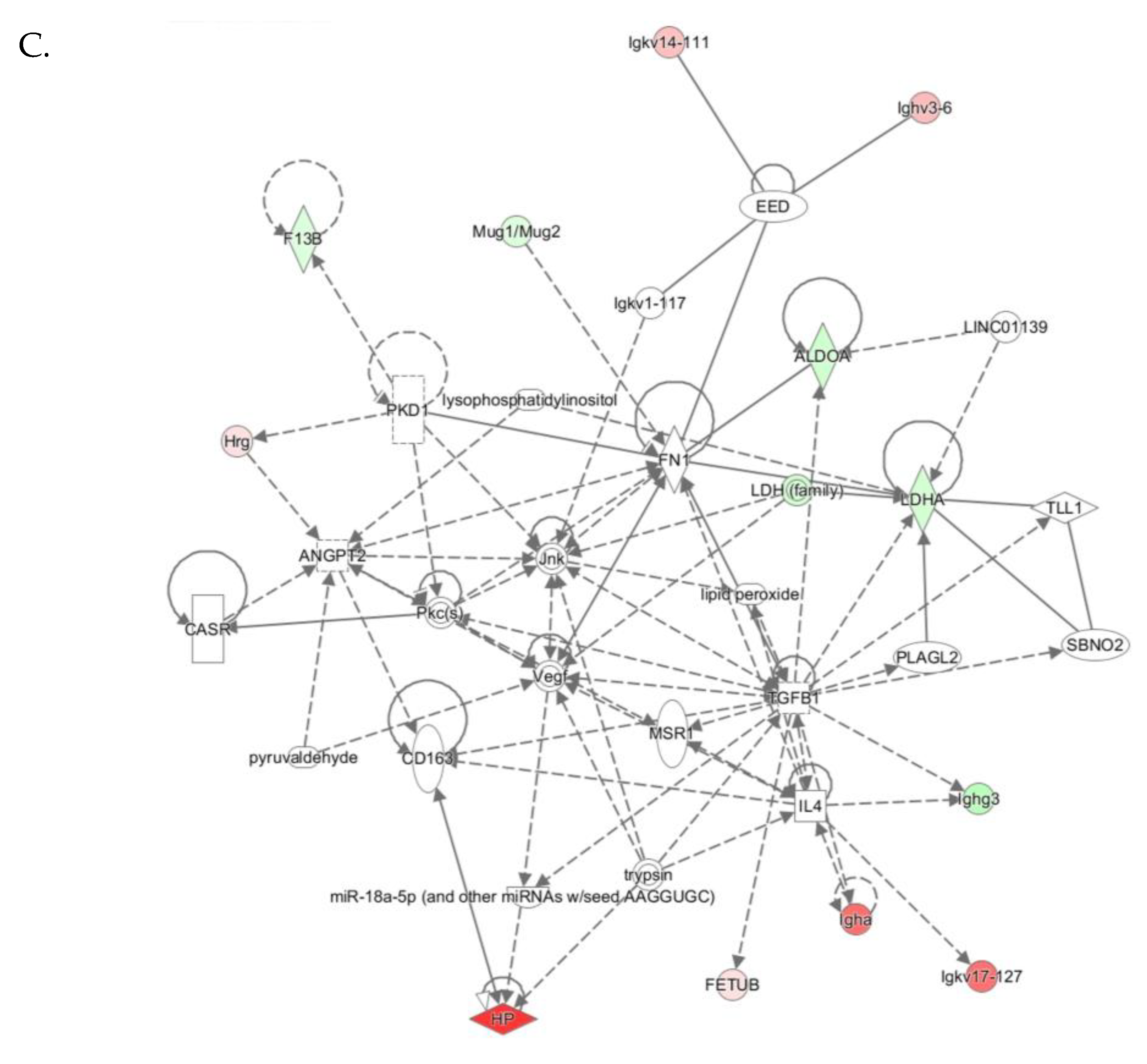 Antioxidants 09 01198 g006b