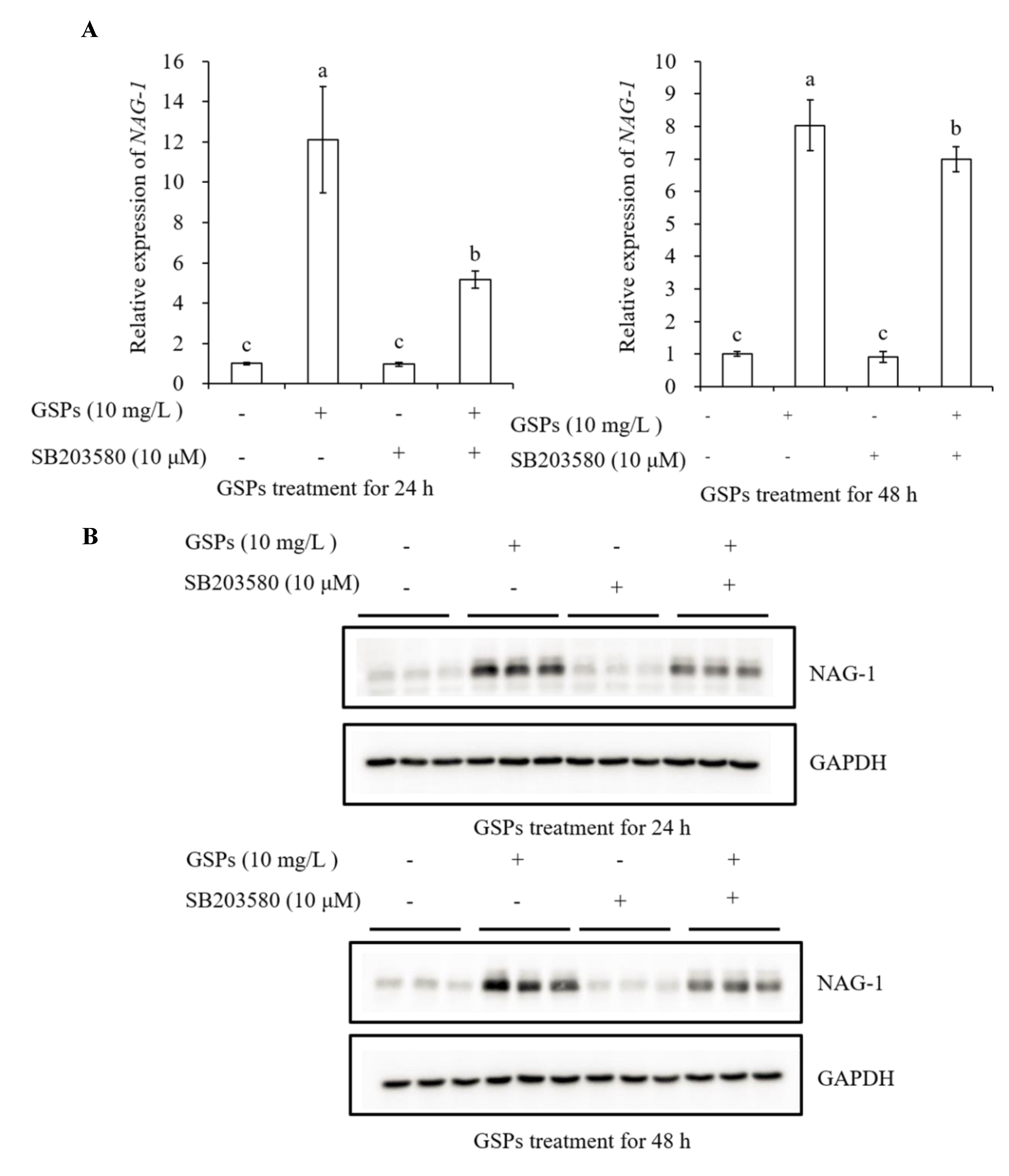 Antioxidants 09 01200 g009 Antioxidants 09 01200 g009