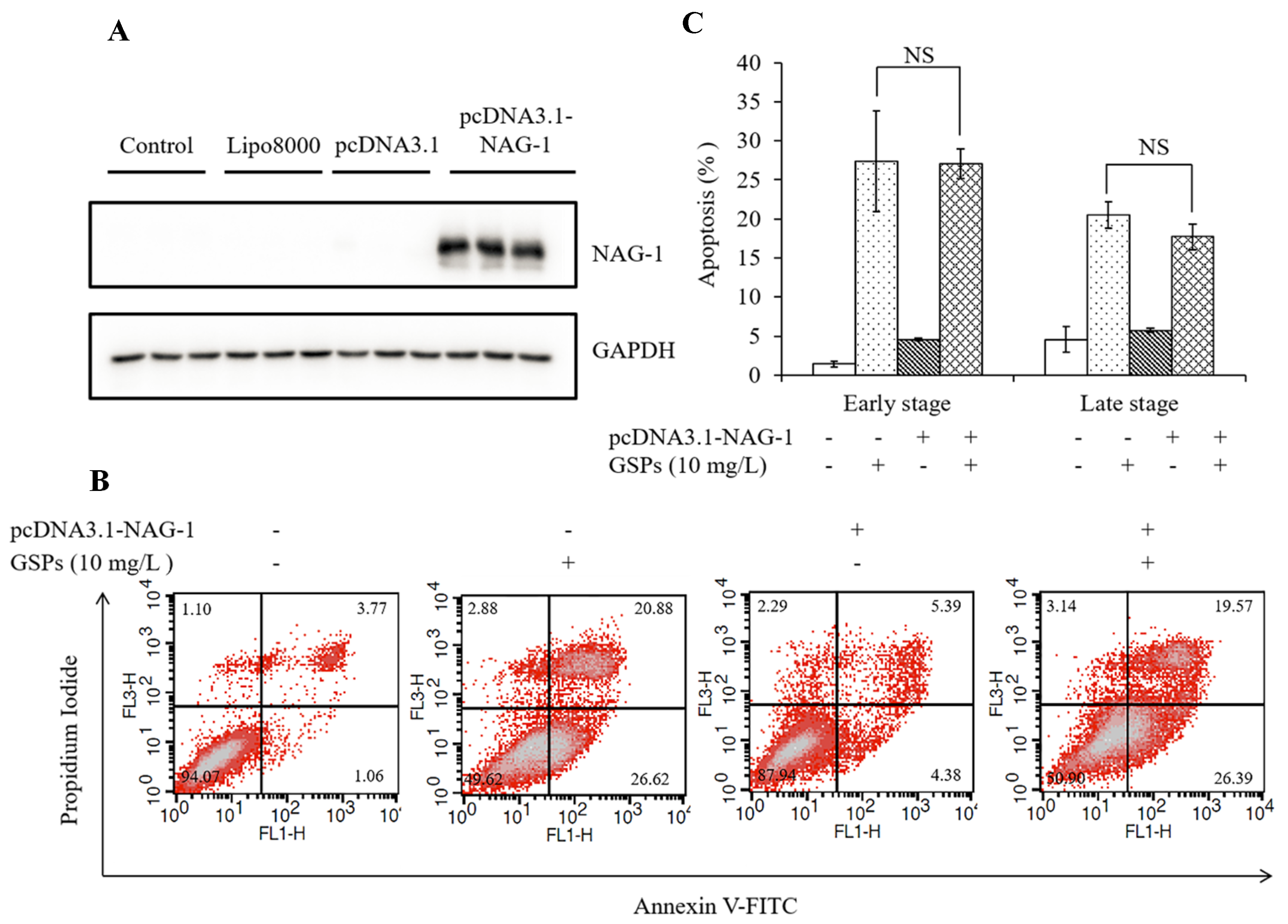 Antioxidants 09 01200 g010 Antioxidants 09 01200 g010