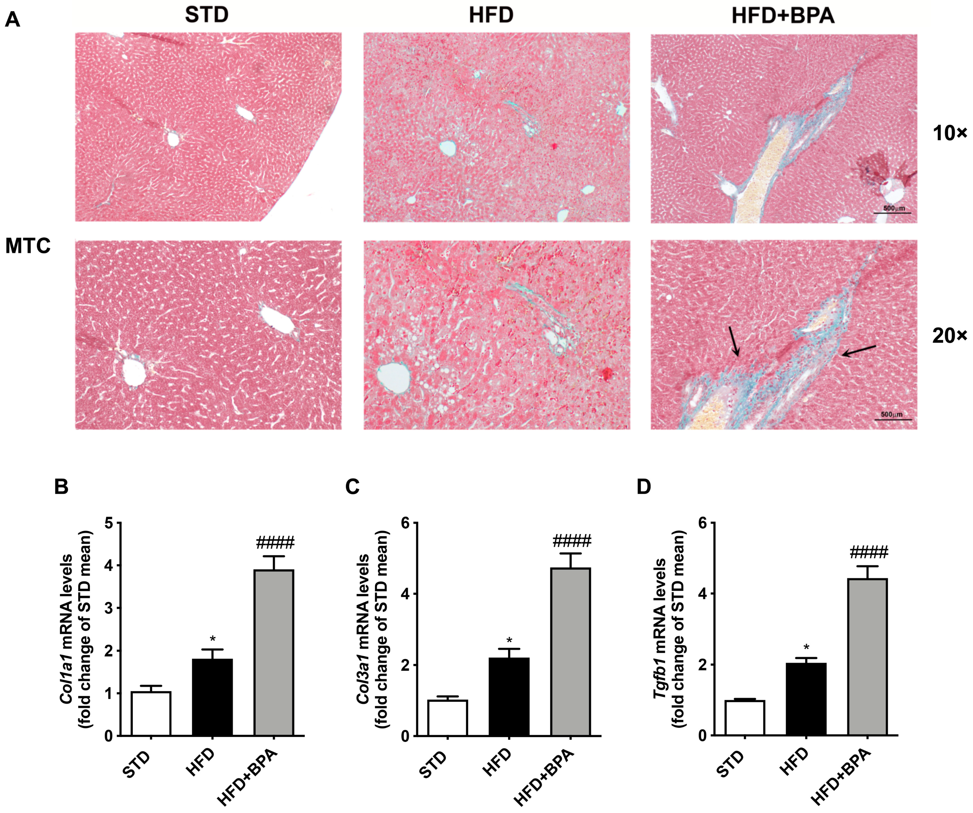 Antioxidants 09 01201 g005