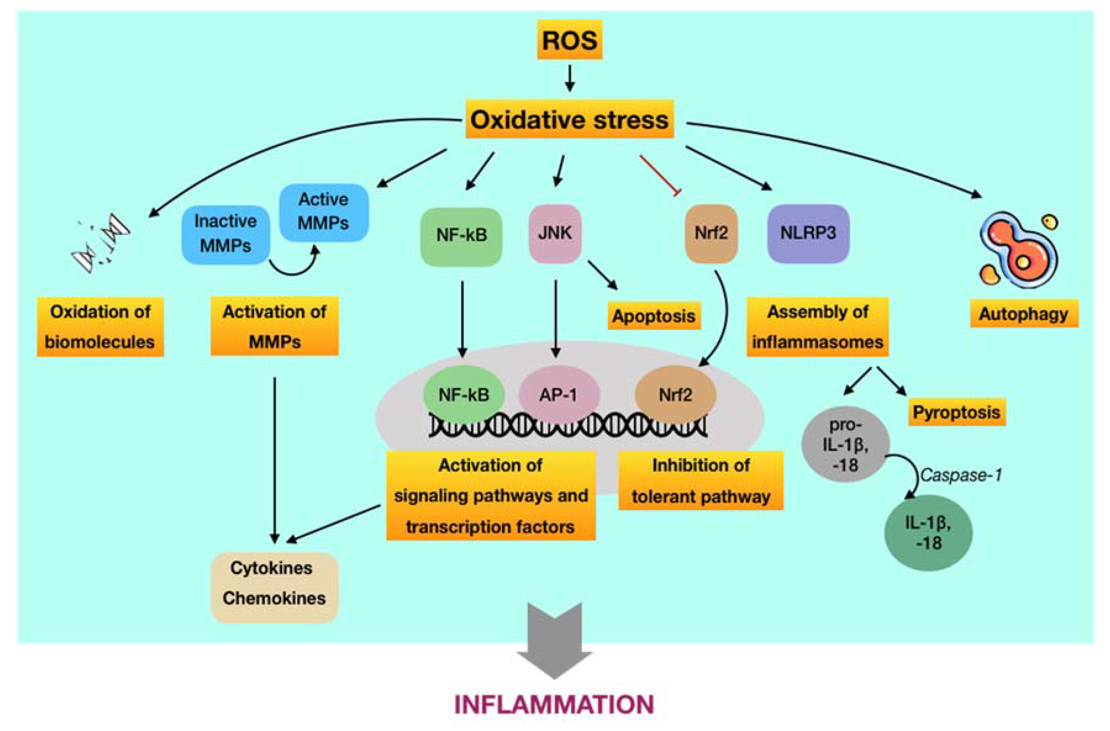 Disease process