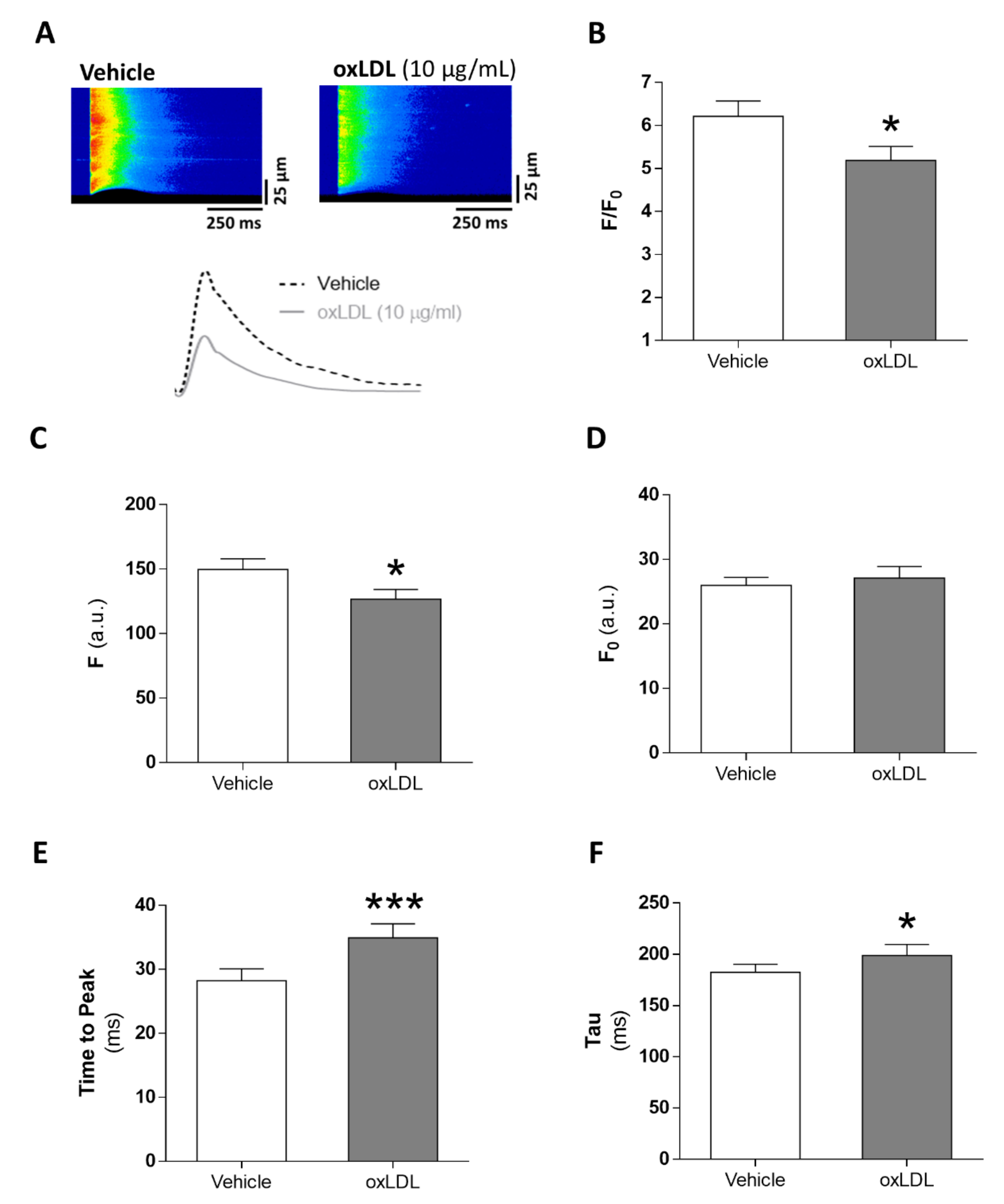 Antioxidants 09 01213 g002