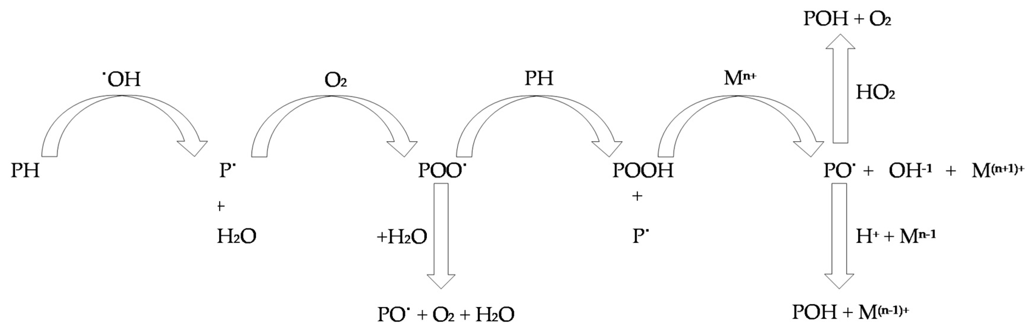 Antioxidants 09 01215 g002