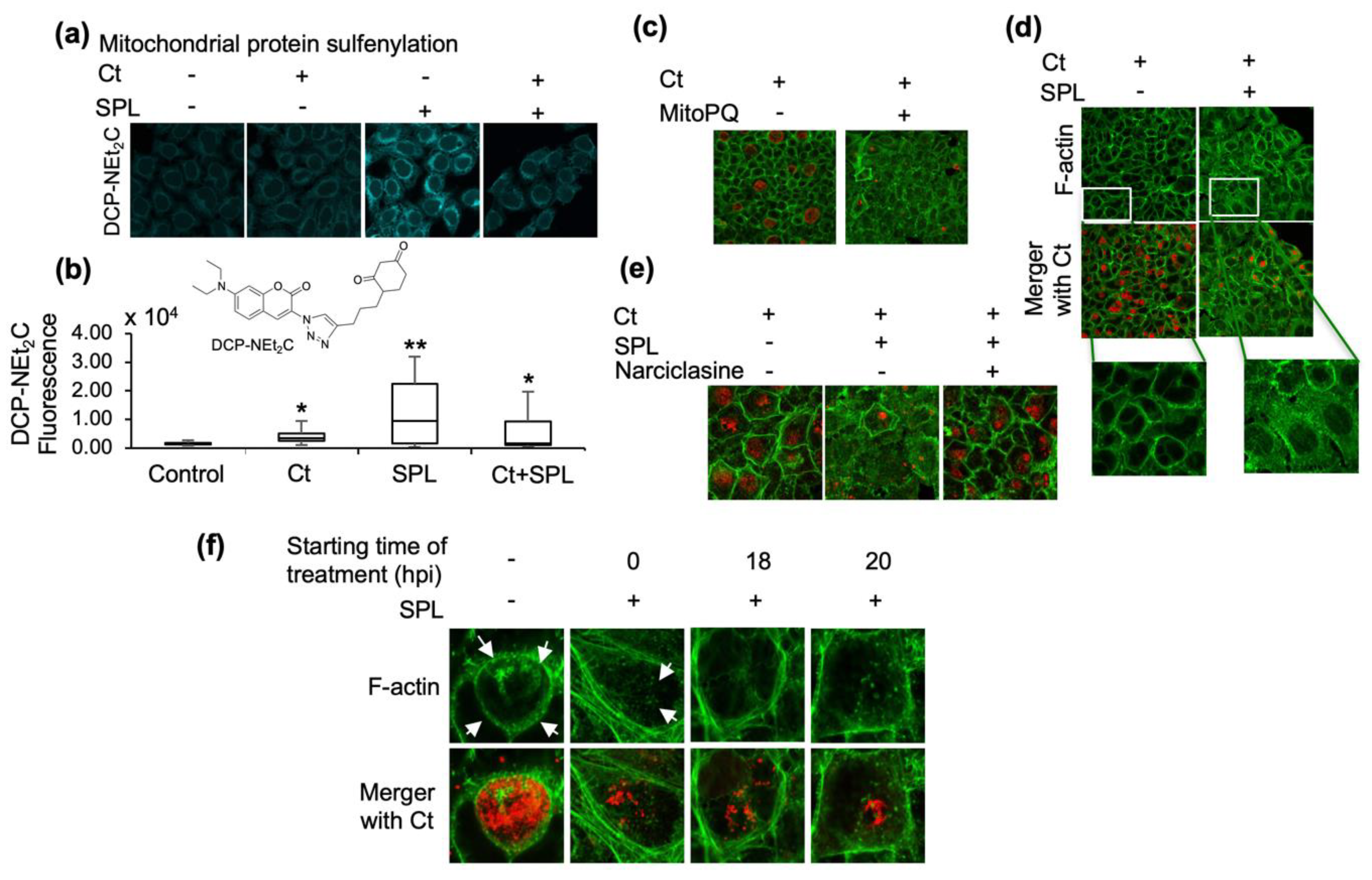 Antioxidants 09 01220 g002