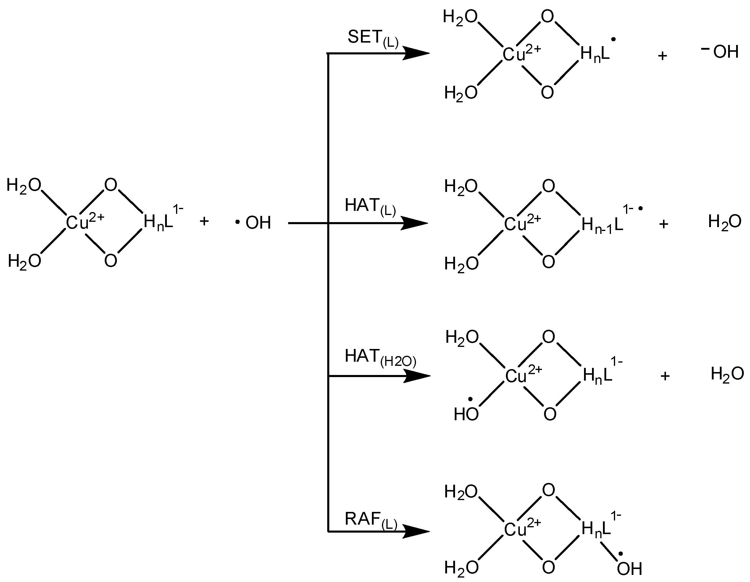 Antioxidants 09 01247 sch001