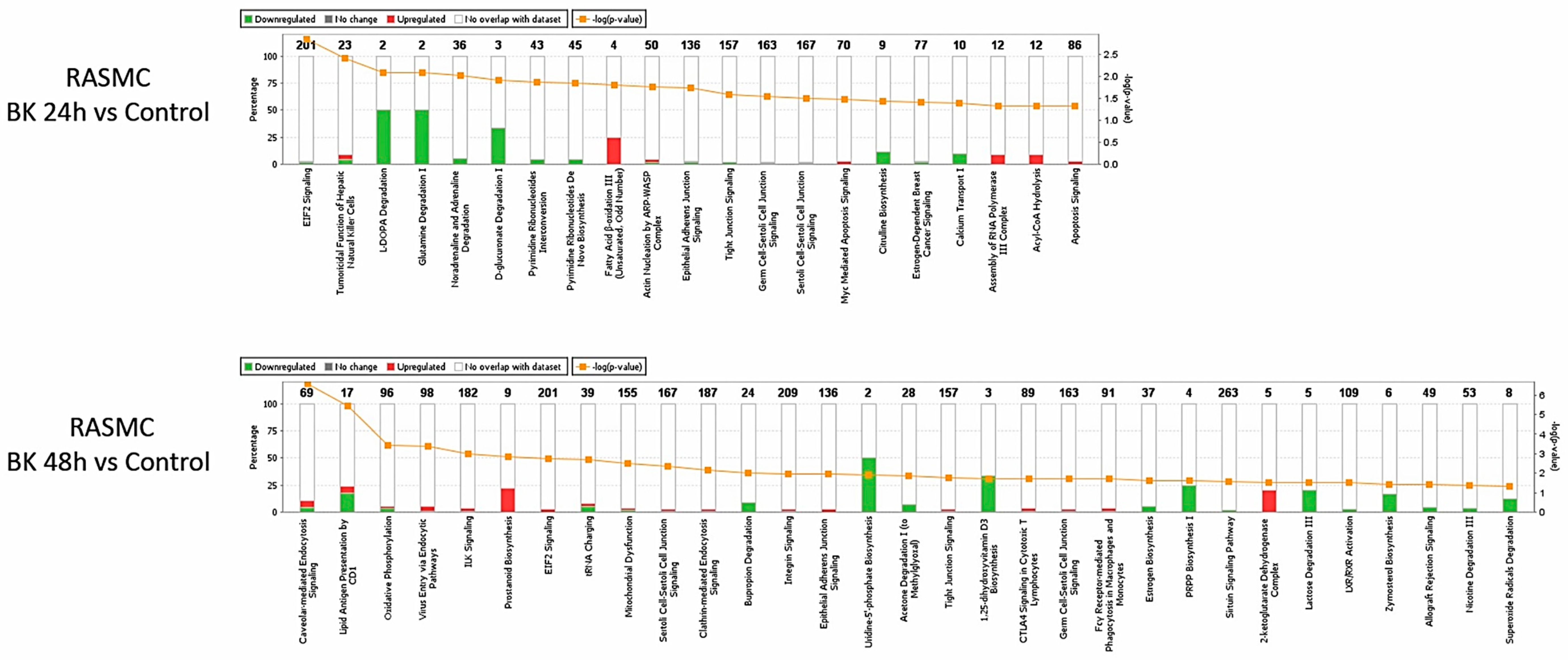 Antioxidants 09 01251 g002