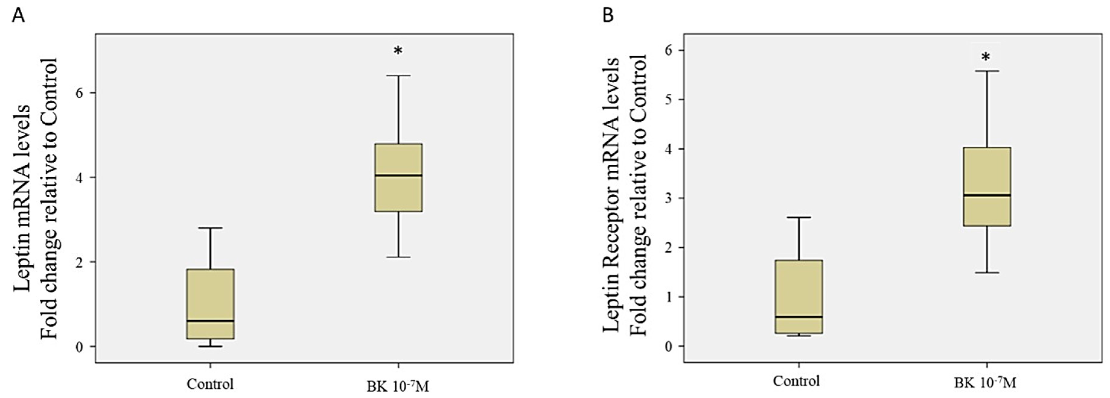 Antioxidants 09 01251 g004