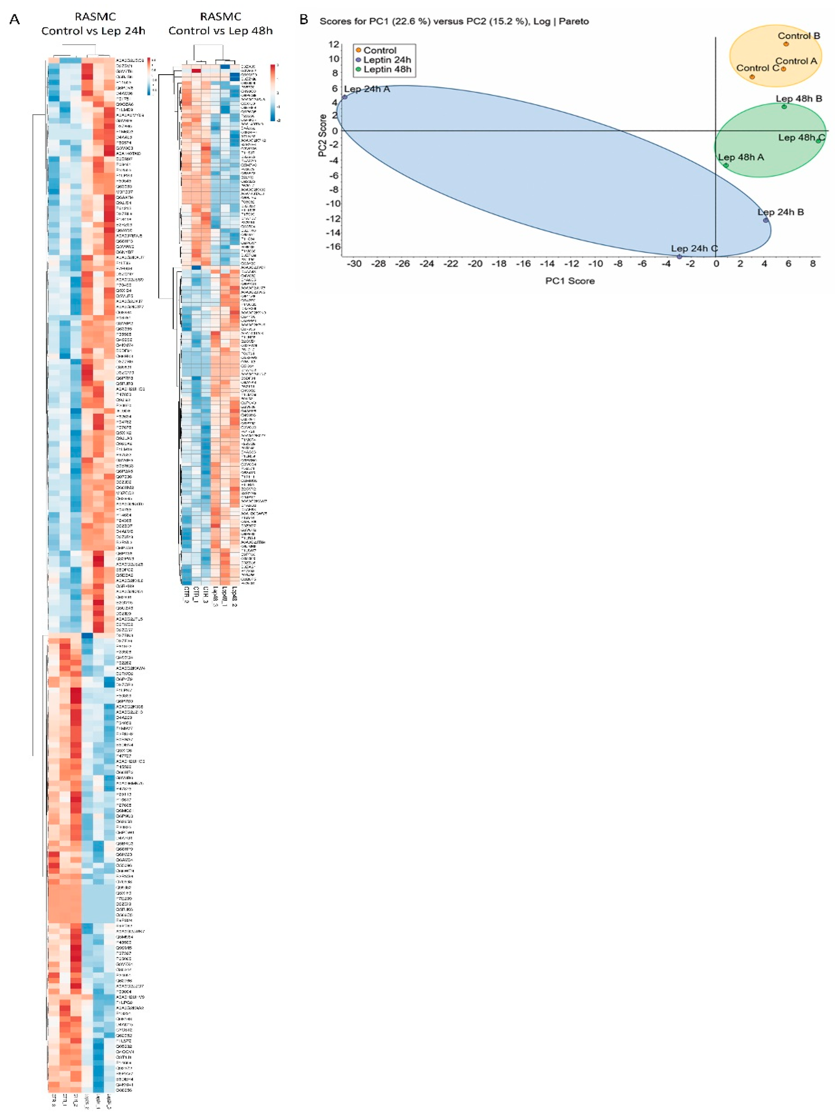 Antioxidants 09 01251 g005
