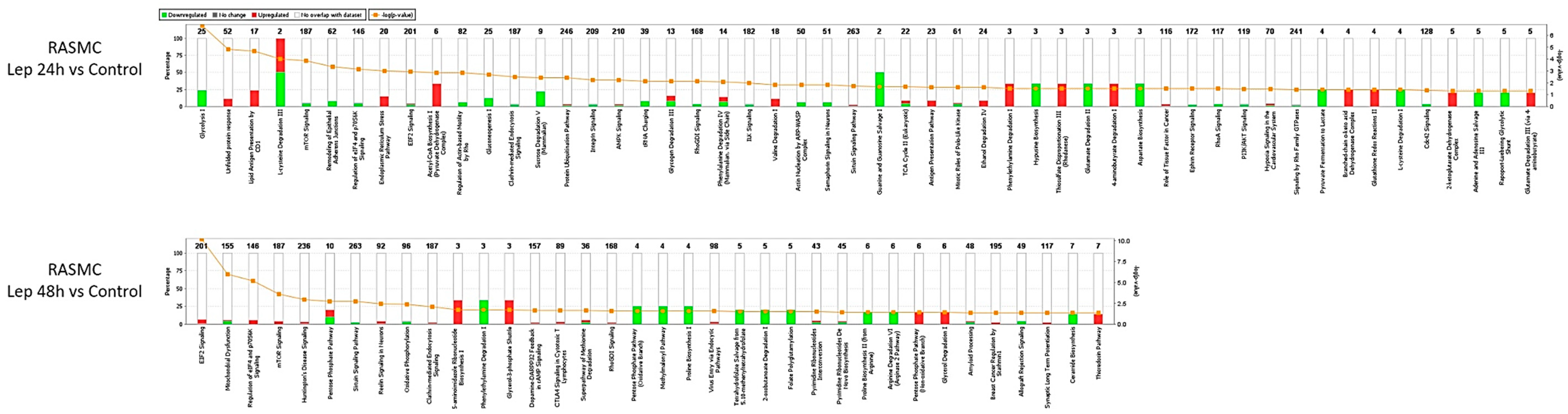 Antioxidants 09 01251 g006