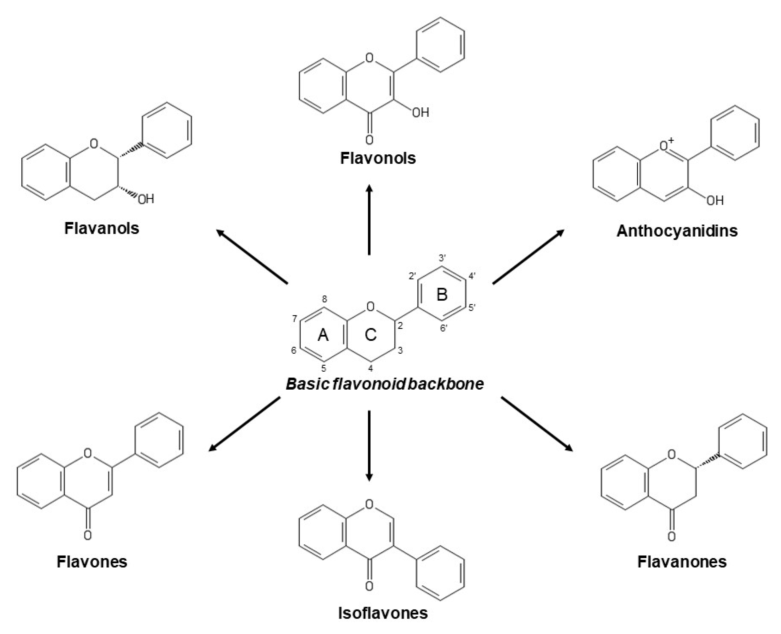 Antioxidants | Free Full-Text | Plant Phenolics: Bioavailability as a Key  Determinant of Their Potential Health-Promoting Applications