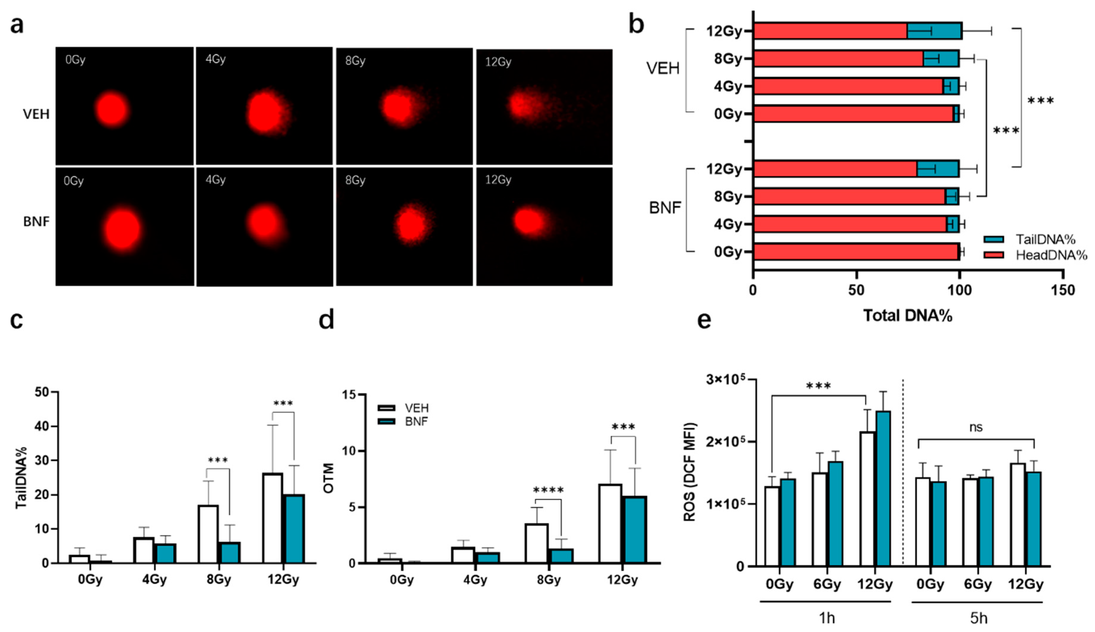 Antioxidants 09 01264 g004