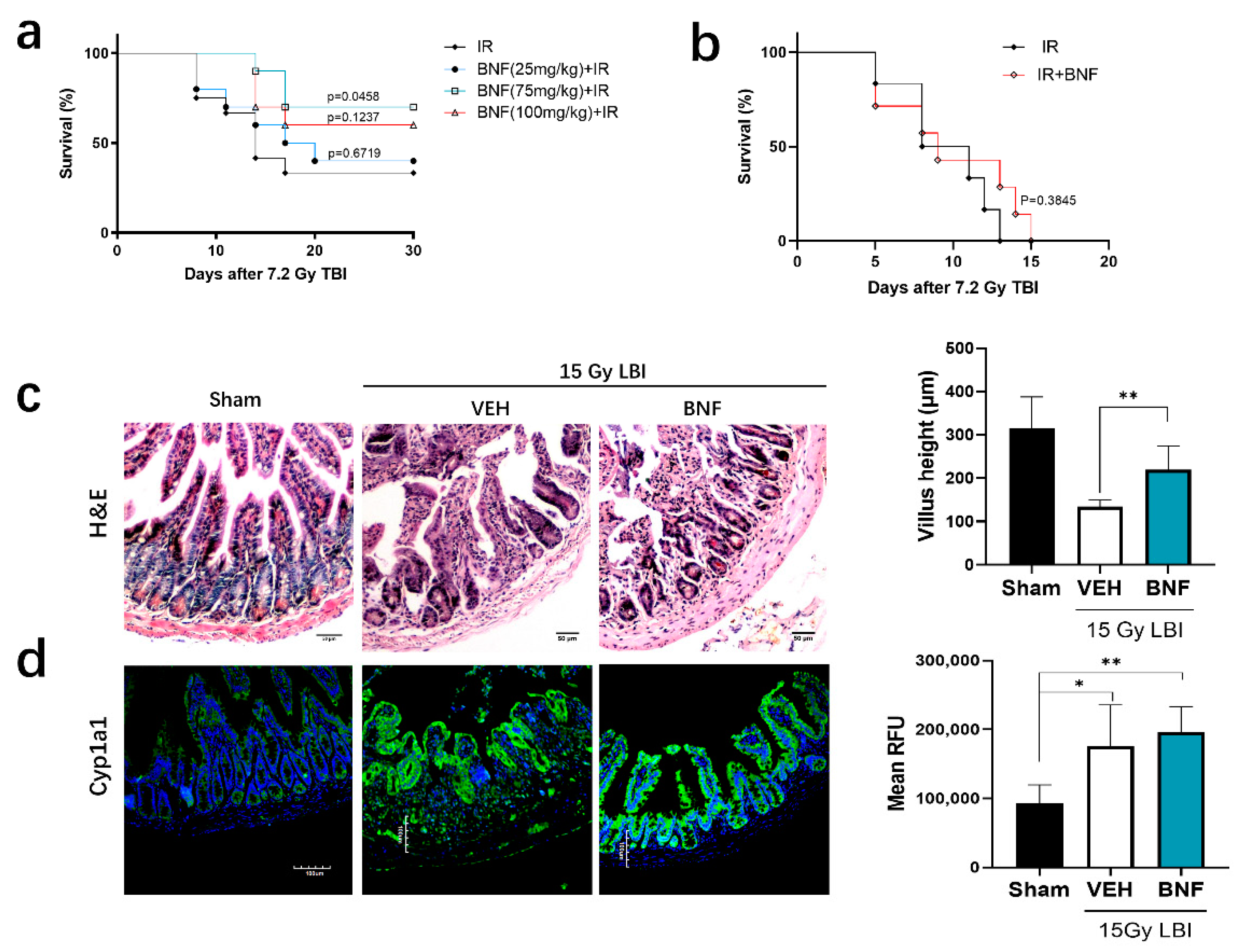 Antioxidants 09 01264 g006