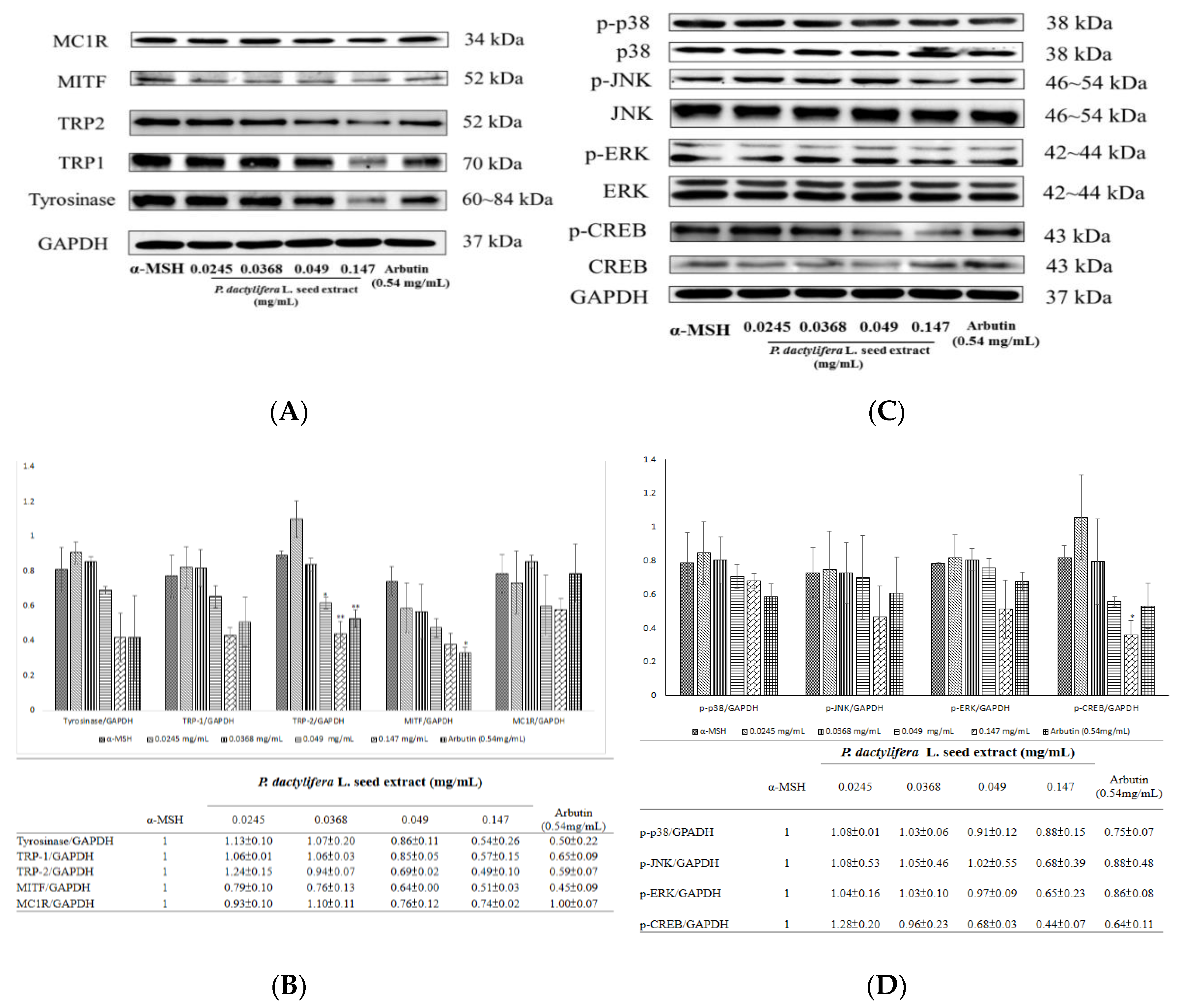 Antioxidants 09 01270 g005 Antioxidants 09 01270 g005