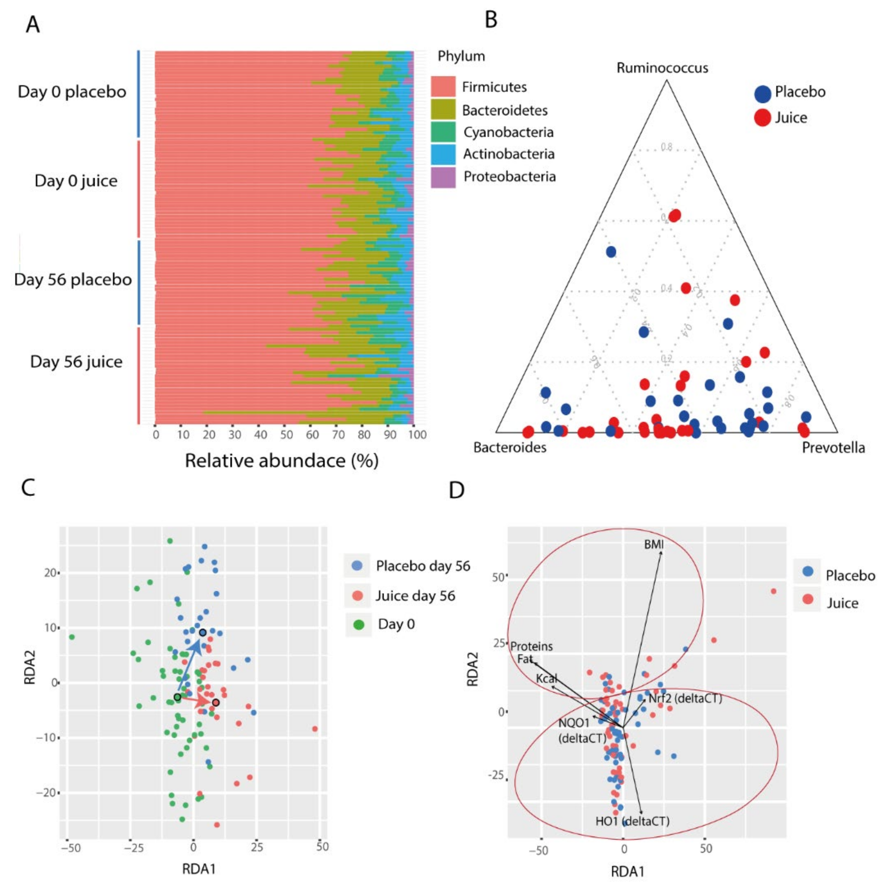 Antioxidants 10 00027 g006